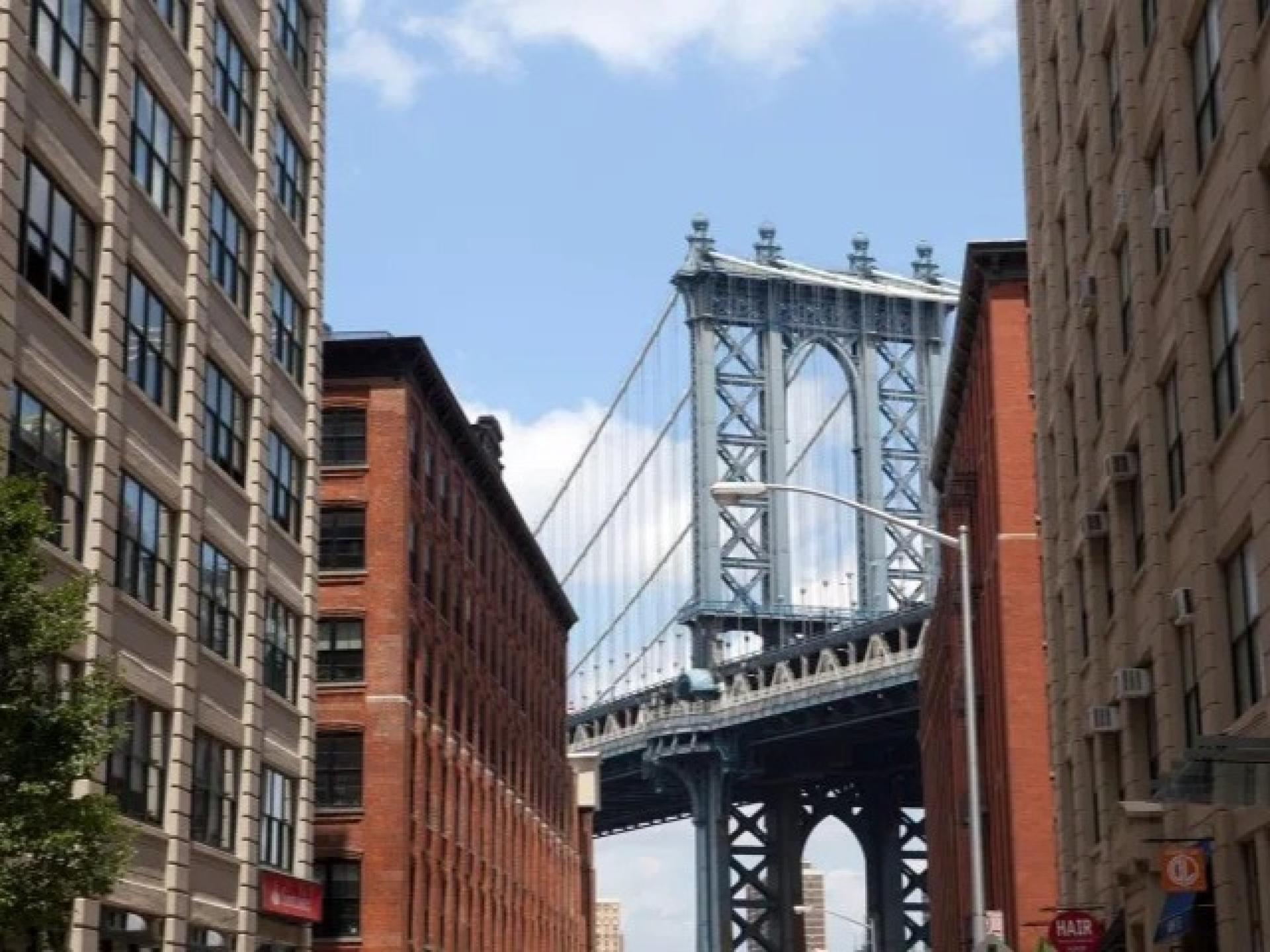 Brooklyn Bridge & DUMBO Neighborhood Tour - Image 1