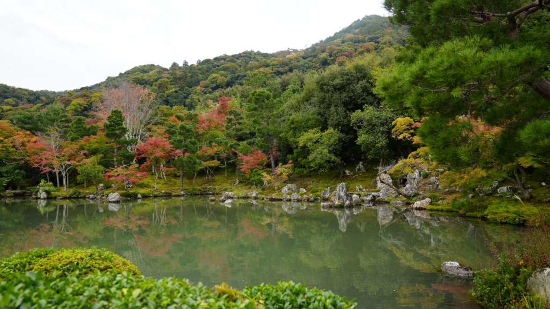 Kyoto: Arashiyama UNESCO Walking Tour with Admission - Thumbnail 28