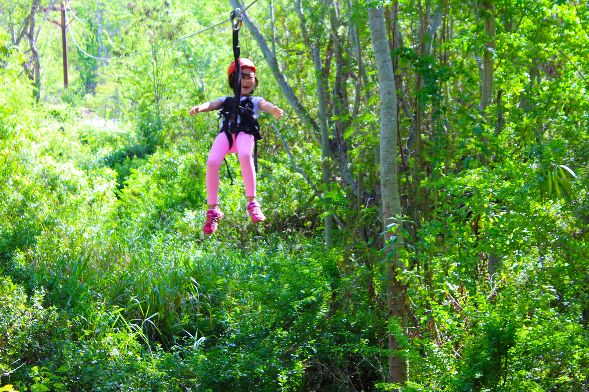 Coral Crater 6-Zipline Tour in O'ahu - Thumbnail 11