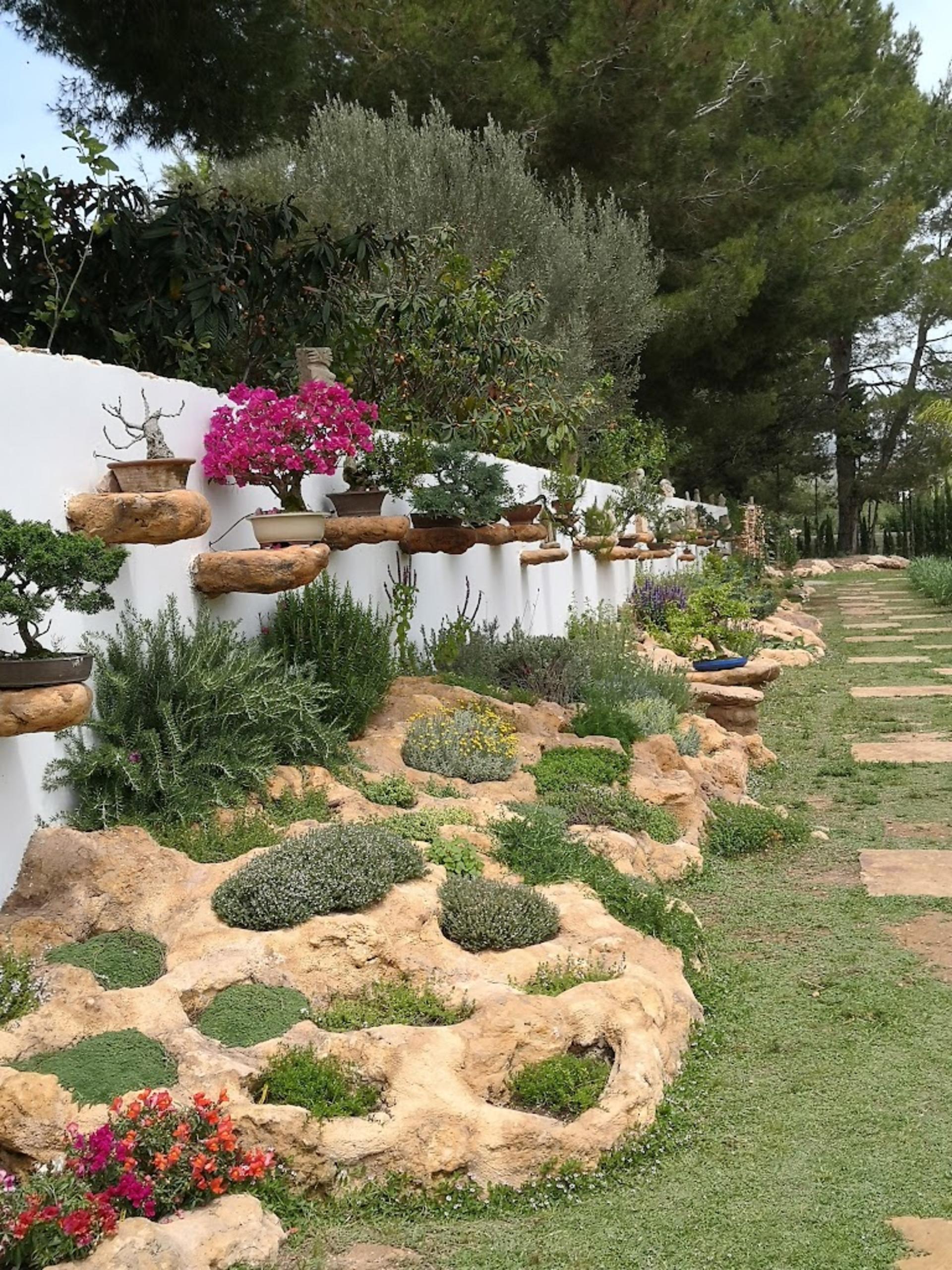 Ibiza Biotechnological Botanical Garden Tour - Thumbnail 16