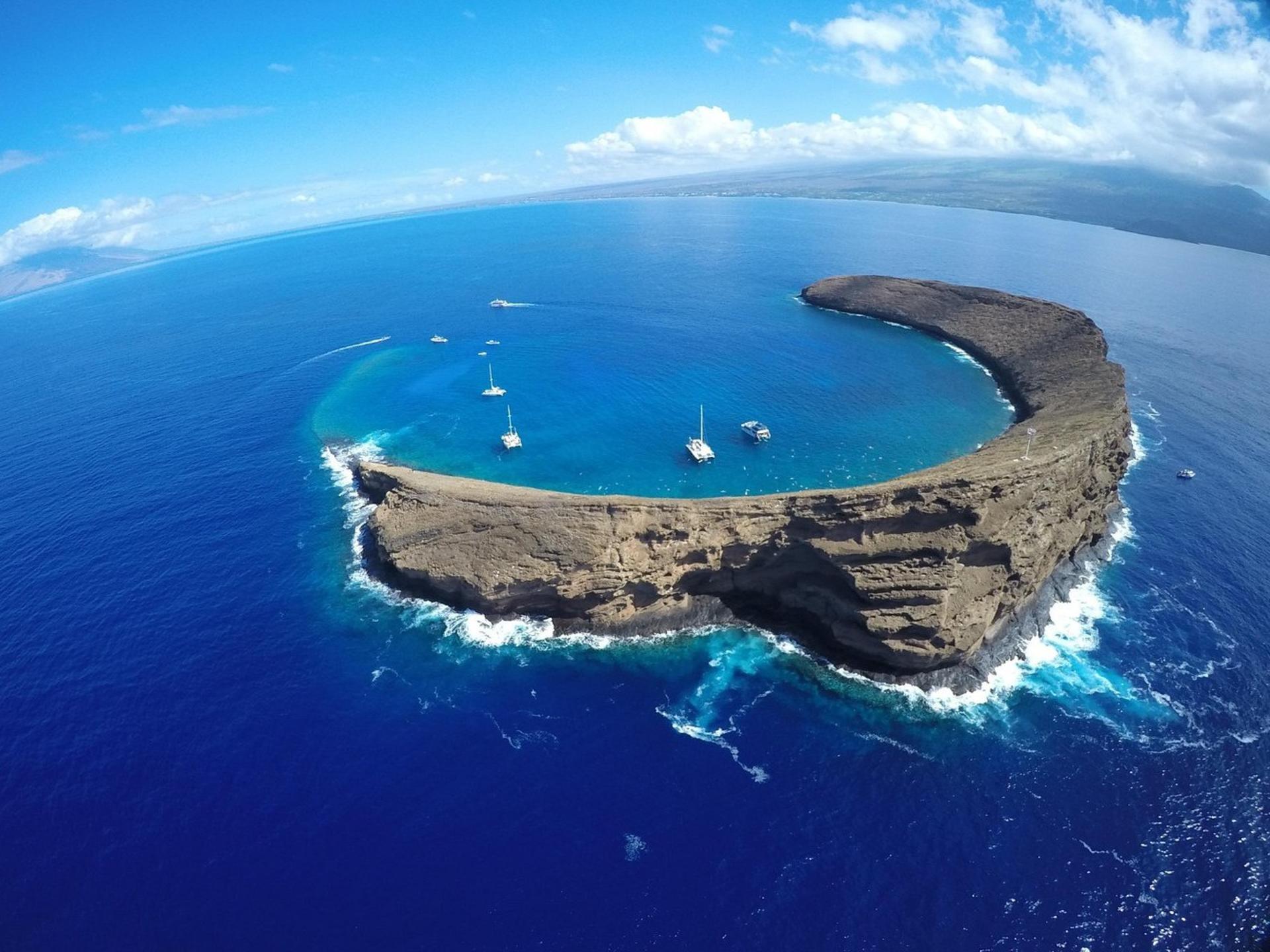 Molokini & Turtle Town Snorkel Adventure Aboard Calypso Catamaran - Thumbnail 2