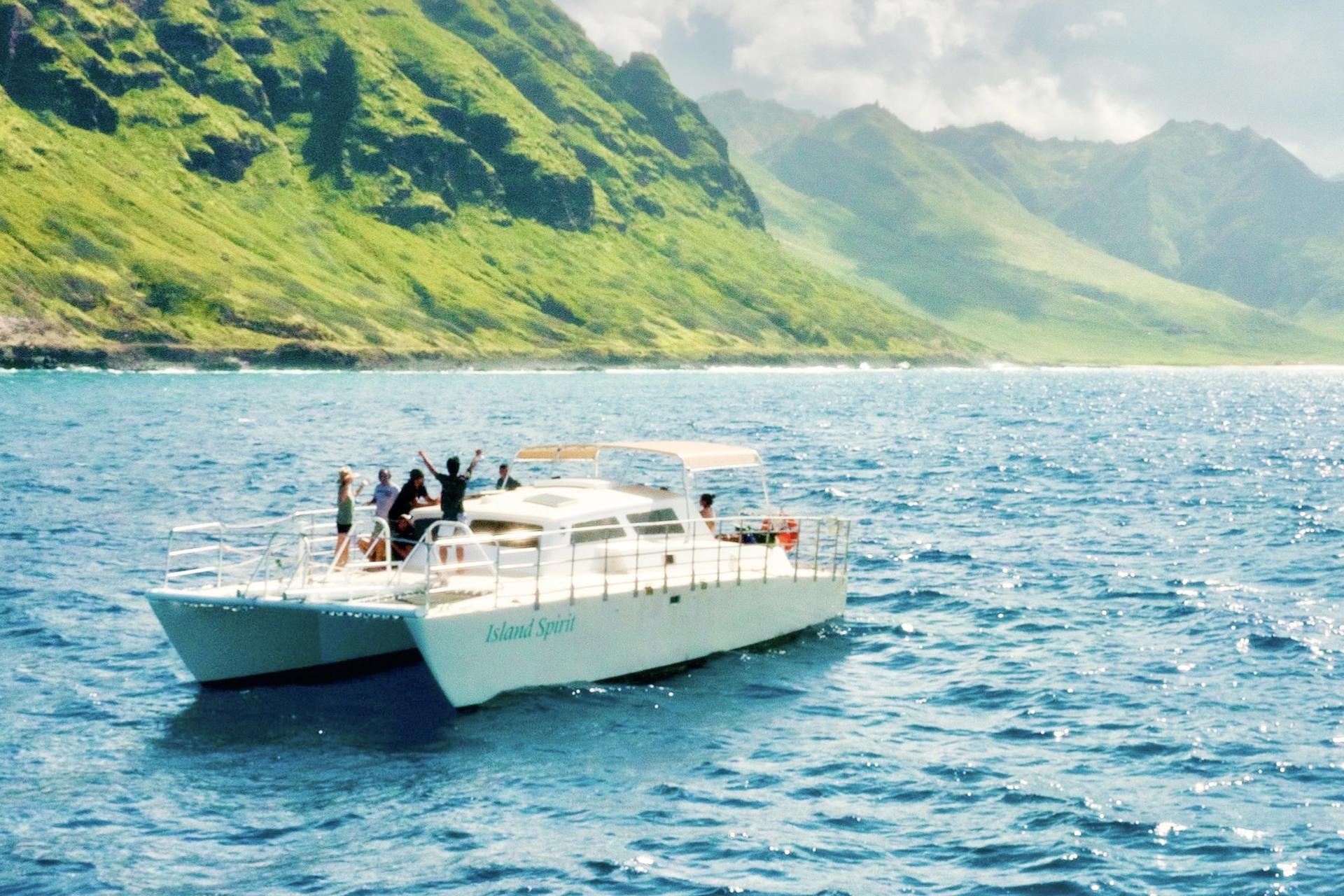 Swim with Dolphins Experience in Oahu - Thumbnail 2