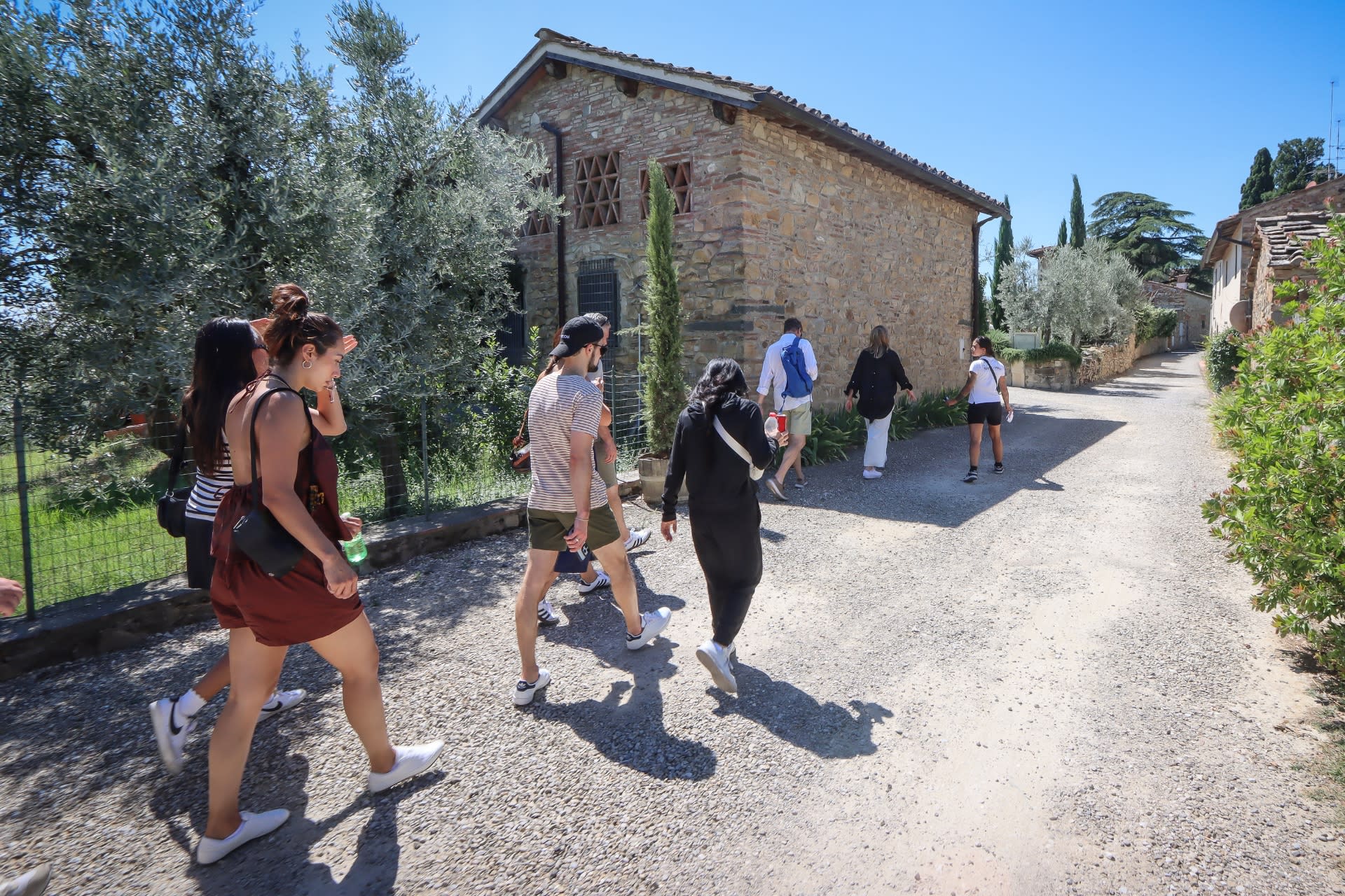 Guided Tuscany Chianti Drive: FIAT E-Car, Wine & Tuscan Lunch - Thumbnail 13
