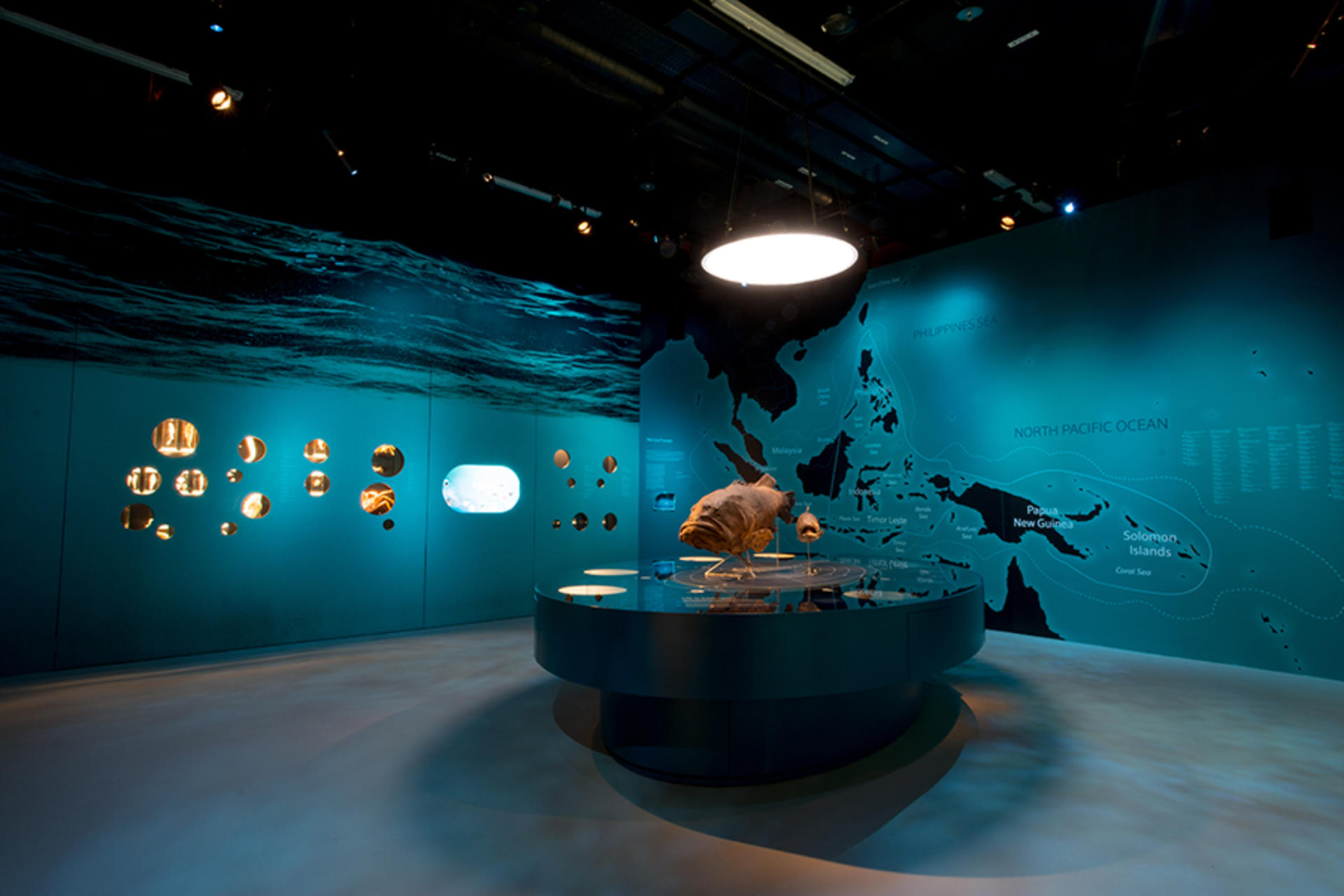 Lee Kong Chian Natural History Museum Ticket in Singapore - Thumbnail 3
