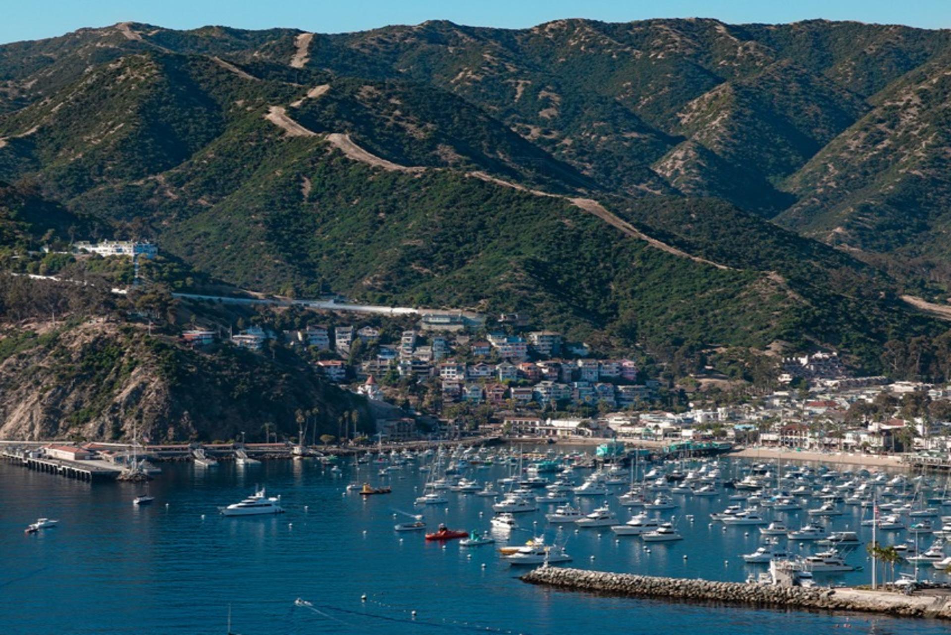 Helicopter Tour in Catalina - Thumbnail 4