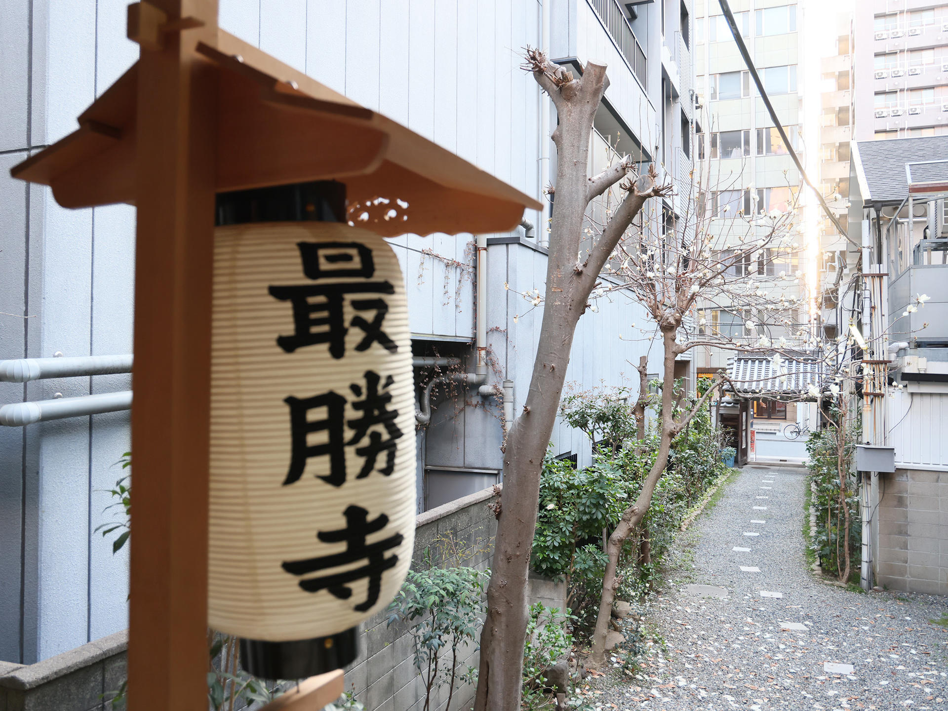 Osaka: Japanese  Massage, Head Spa & Facial at the Temple (180-min) - Thumbnail 23