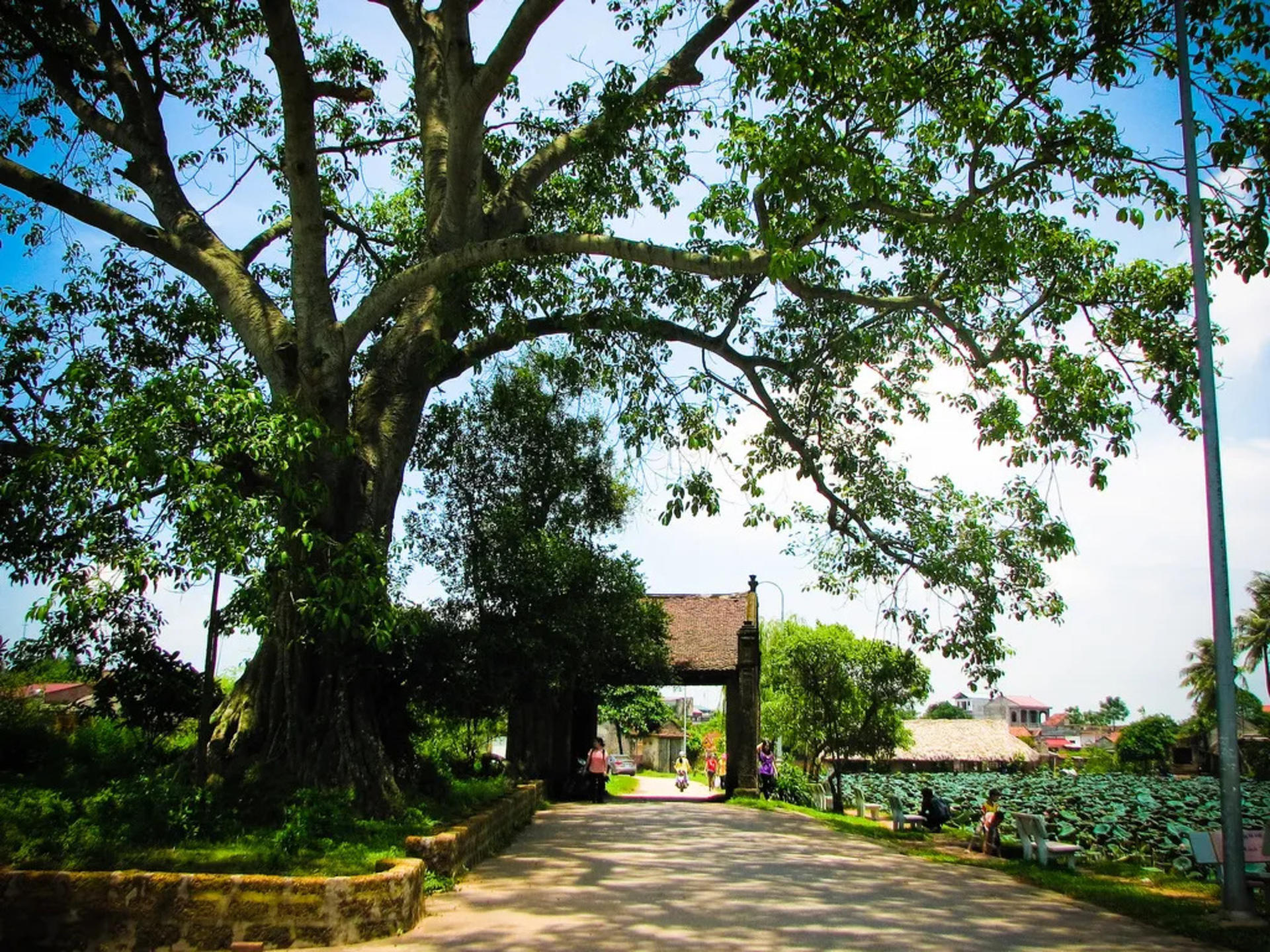 Hanoi Jeep Tour to Ba Vi National Park & Duong Lam Village - Thumbnail 11