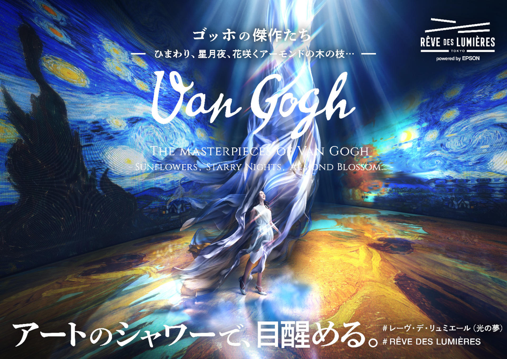 REVE DES LUMIERES - Immersive Digital Art Experience (Van Gogh & Gaudi) - Image 1