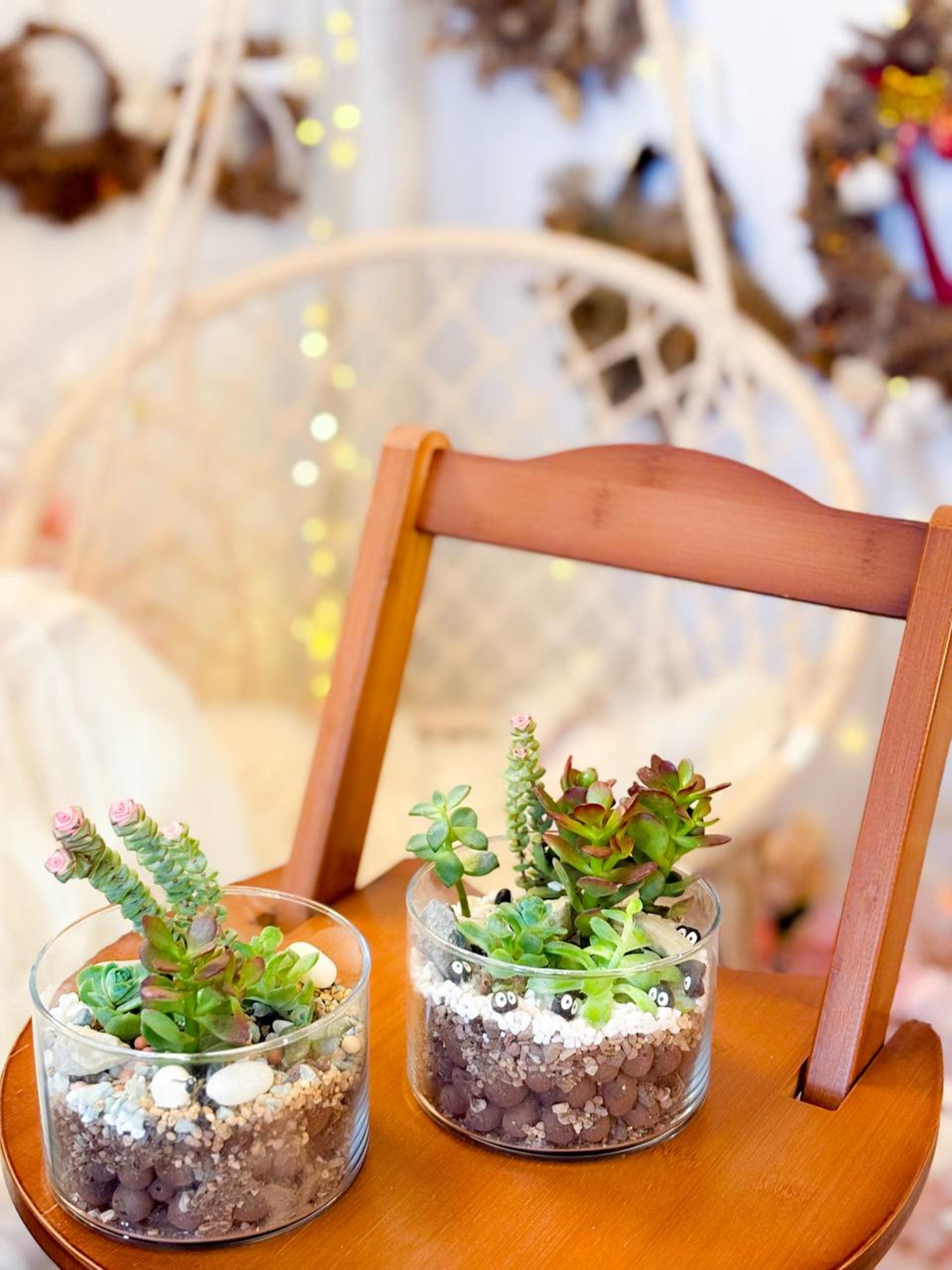 Myosotis Flower - Succulent Terrarium Workshop - Thumbnail 39