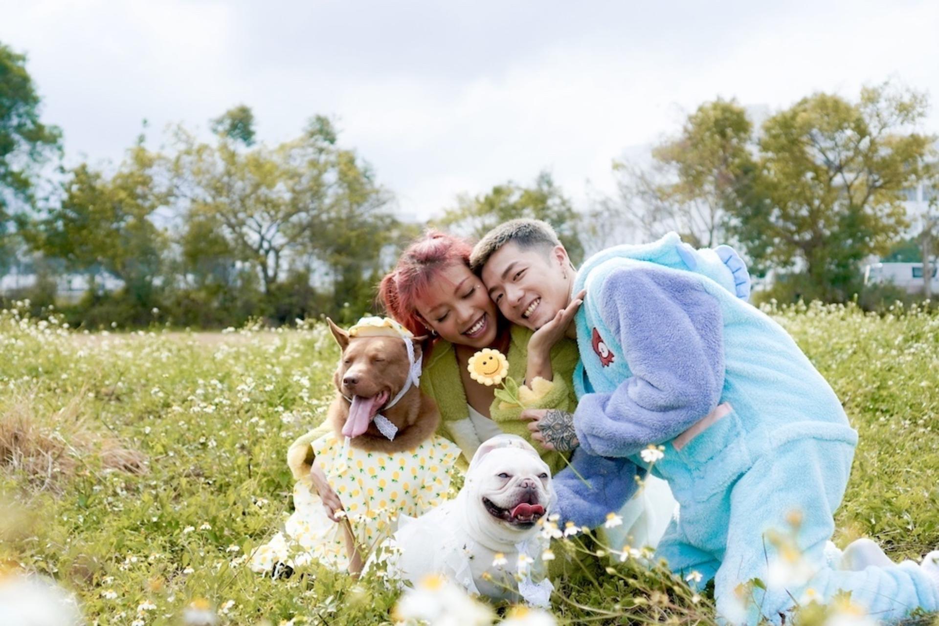 Kate.jpggg - Pet Photography (Custom Location - 2-Hour Shoot) - Thumbnail 4