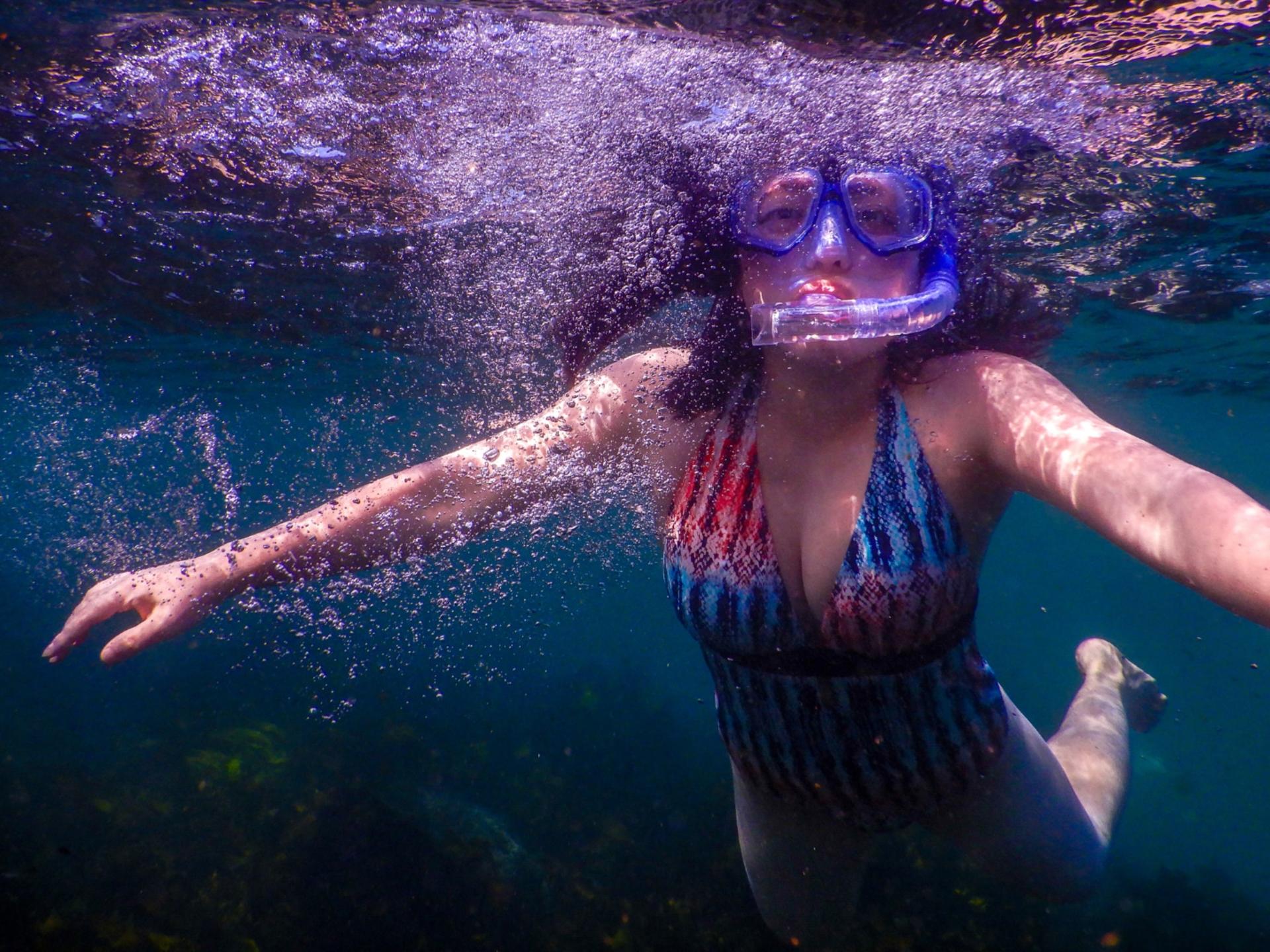 Private Snorkeling Tour In Sydney's Marine - Thumbnail 5