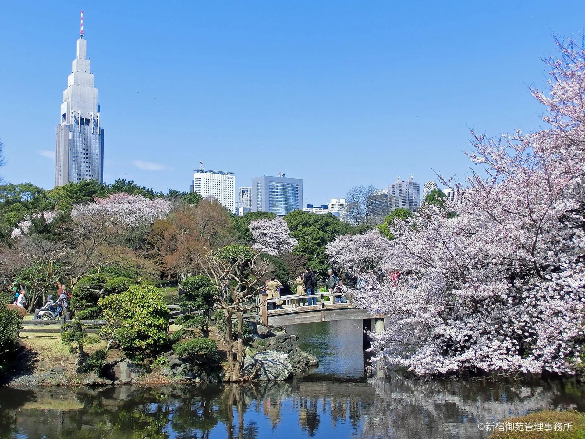 Tokyo City, Shinjuku & Shibuya One Day City Exploration Walking Tour - Thumbnail 6