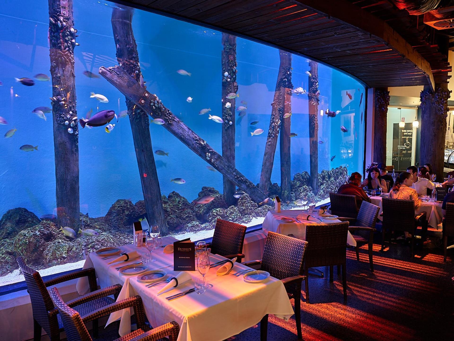 Cairns Aquarium Ticket - Thumbnail 8