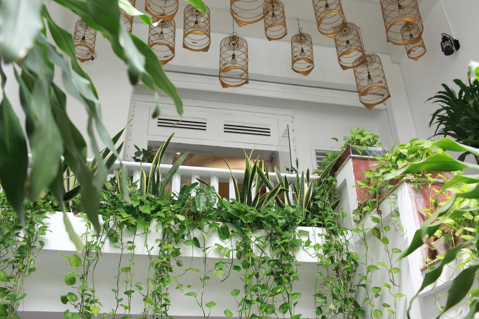 Bong Spa Thach Thi Thanh: Unique Spa Experience in Ho Chi Minh City - Thumbnail 14