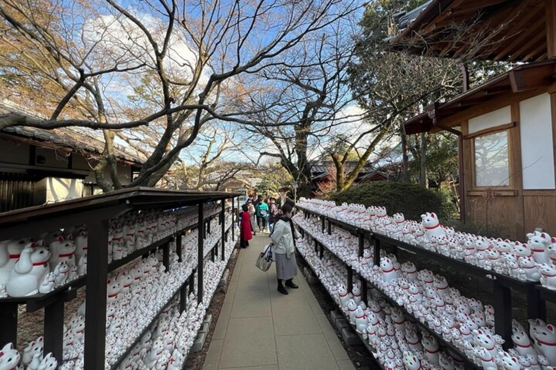 Tokyo: An Unique Temple Walking Tour for Cat Lovers - Thumbnail 7