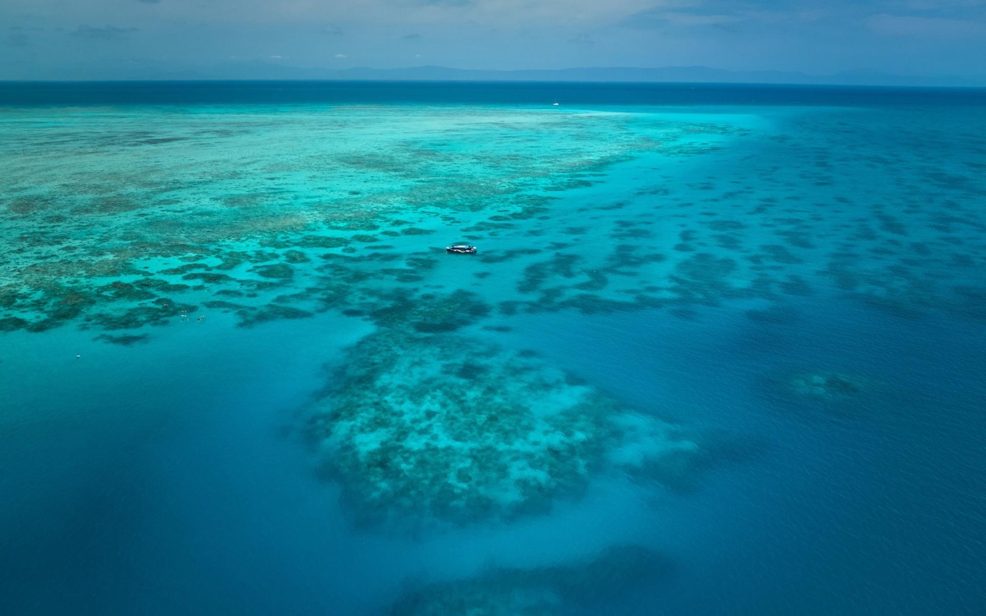 Half Day Reef Adventure to Upolu Reef - Thumbnail 3