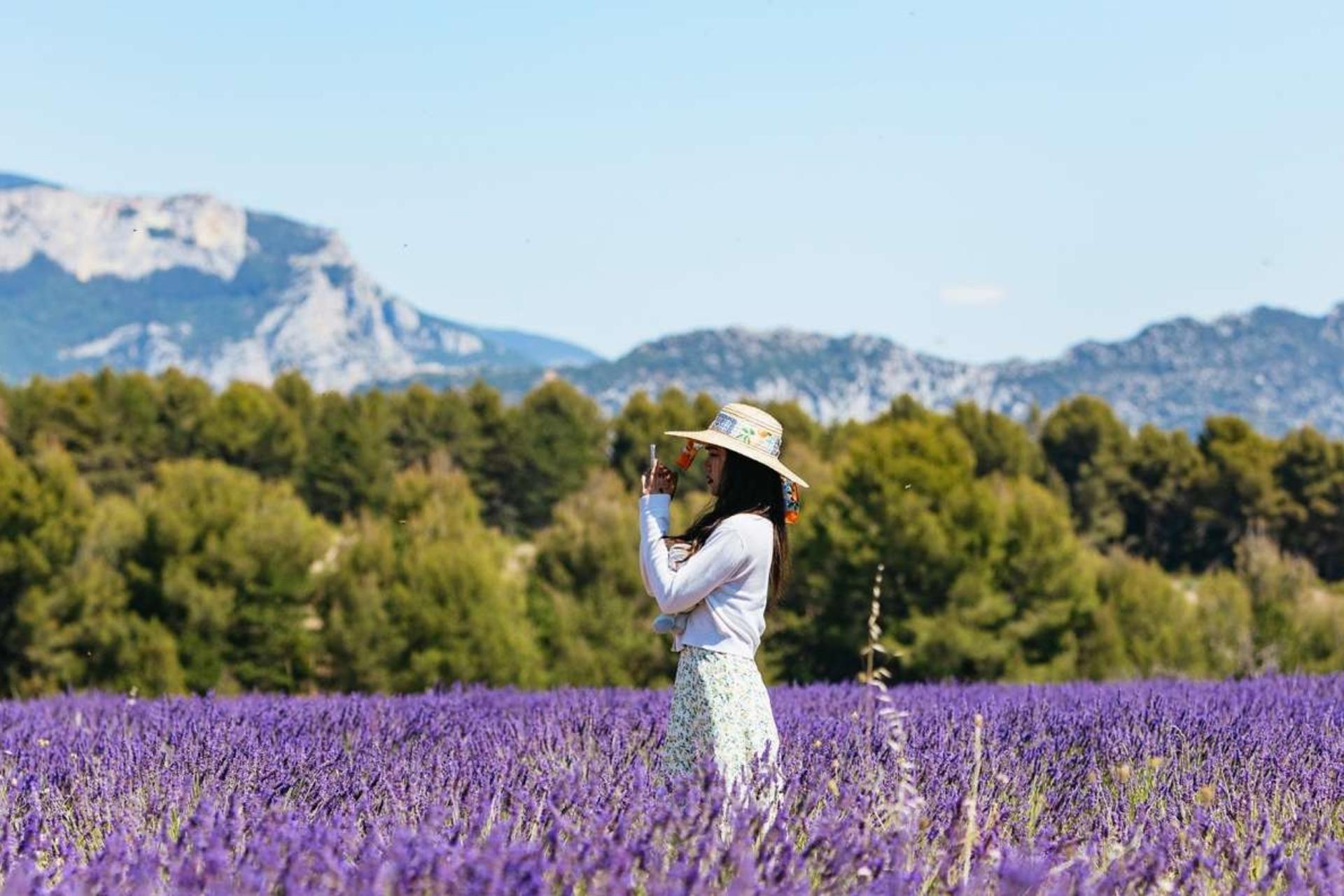 Verdon Gorge and Lavender Fields Day Tour  - Thumbnail 3