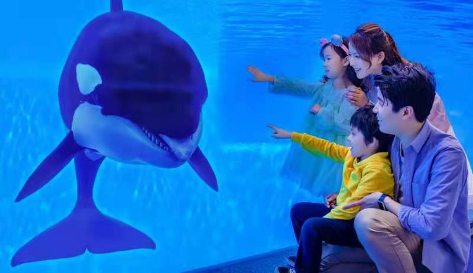 Shanghai Haichang Ocean Park Ticket - Thumbnail 8