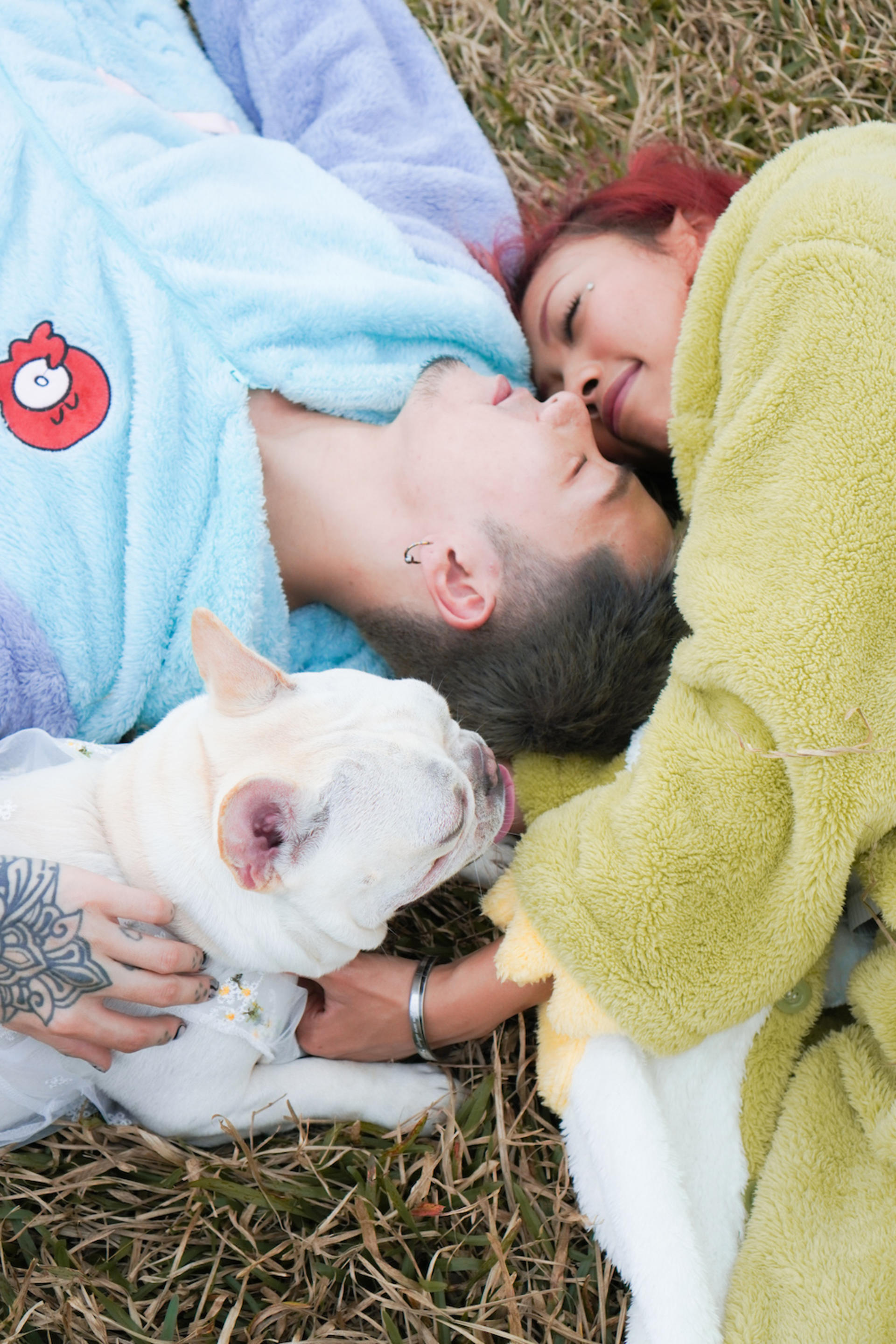 Kate.jpggg - Pet Photography (Custom Location - 2-Hour Shoot) - Thumbnail 2