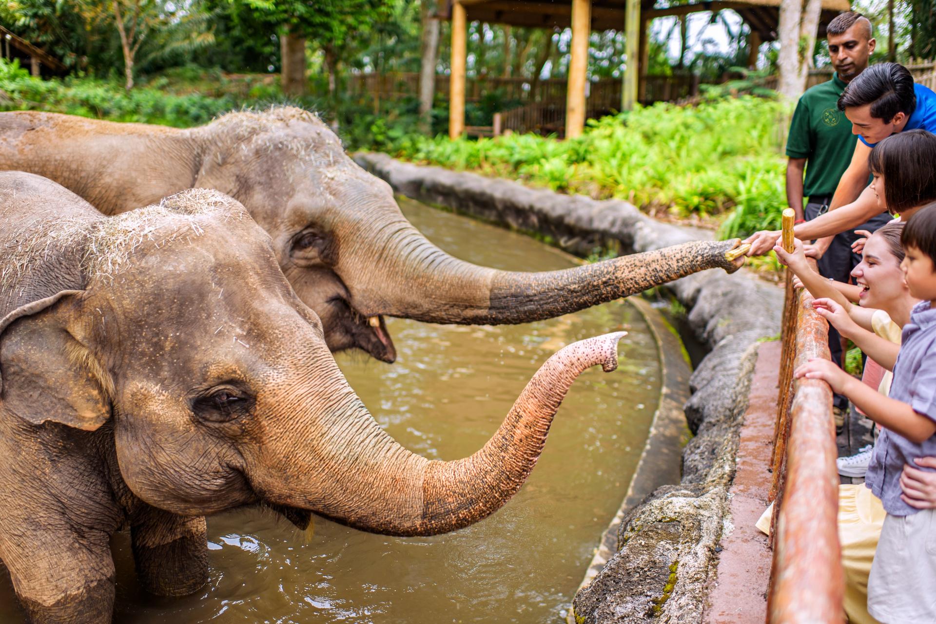 Singapore Zoo Ticket | Mandai Wildlife Reserve, Singapore - Thumbnail 13
