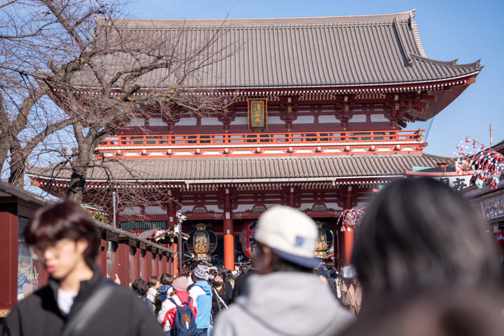 1-Day Tokyo Highlights Tour with a Private Car and Guide - Thumbnail 9