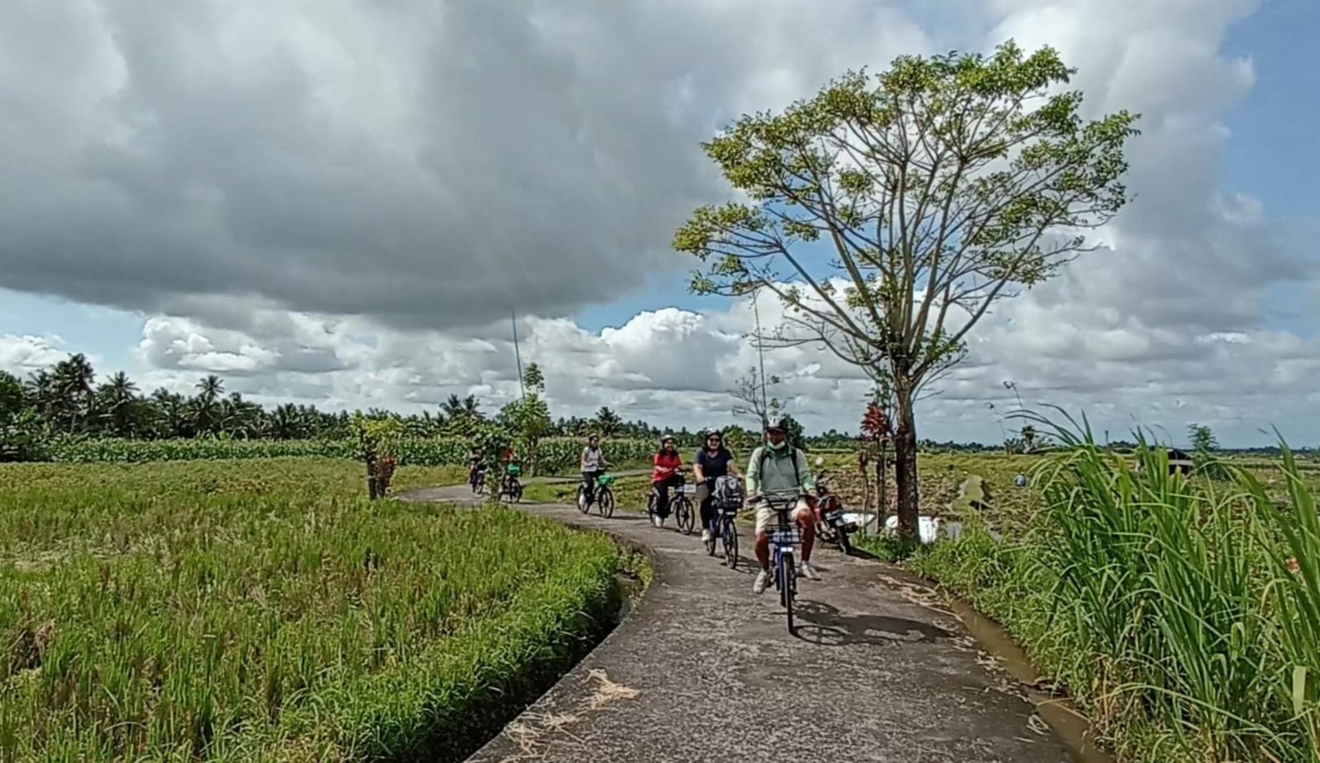 South Ubud Electric Bike Tour in Bali - Thumbnail 3