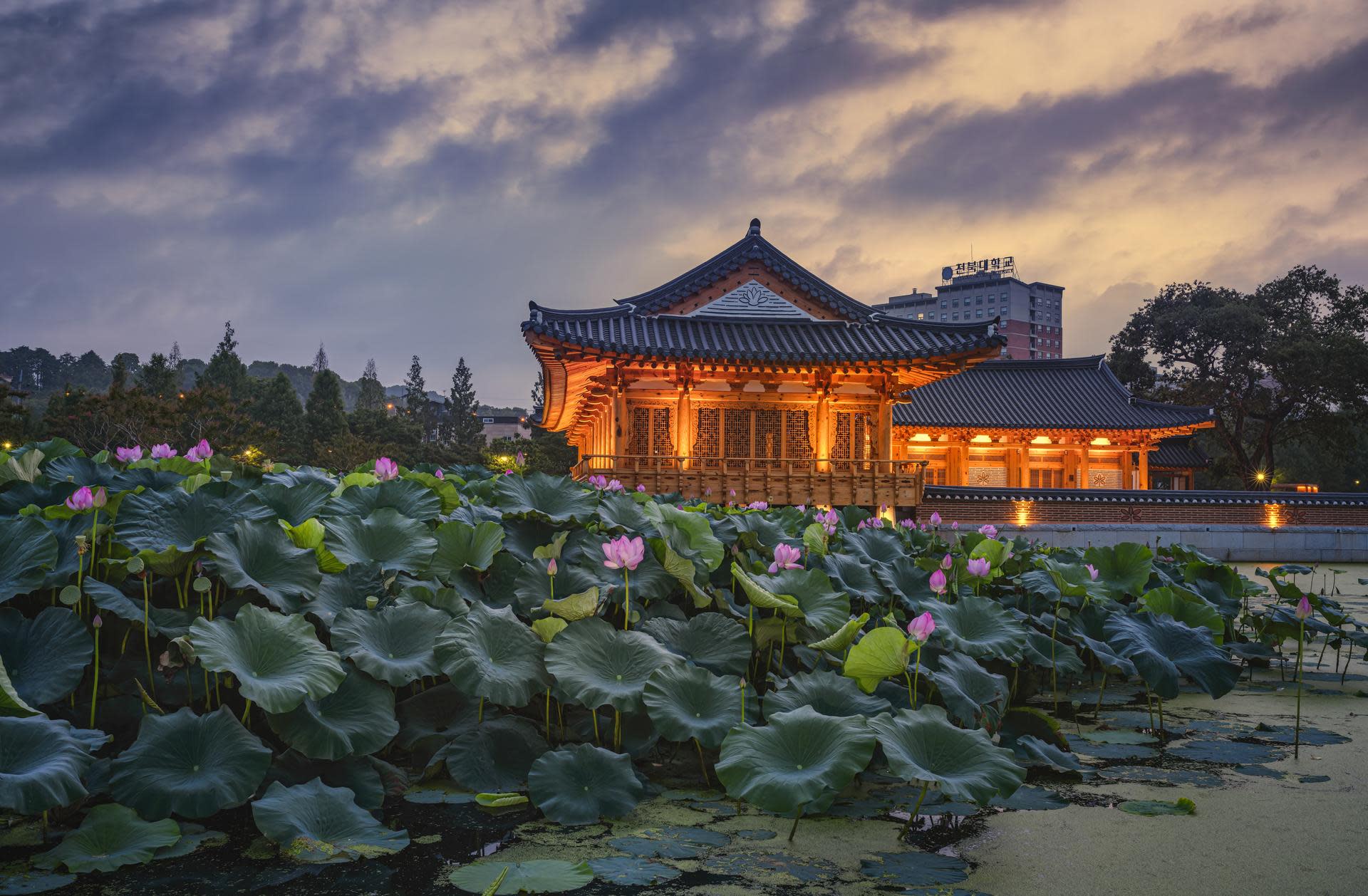 Seoul - Jeonju Premium Private Transfer with Chauffeur - Thumbnail 13