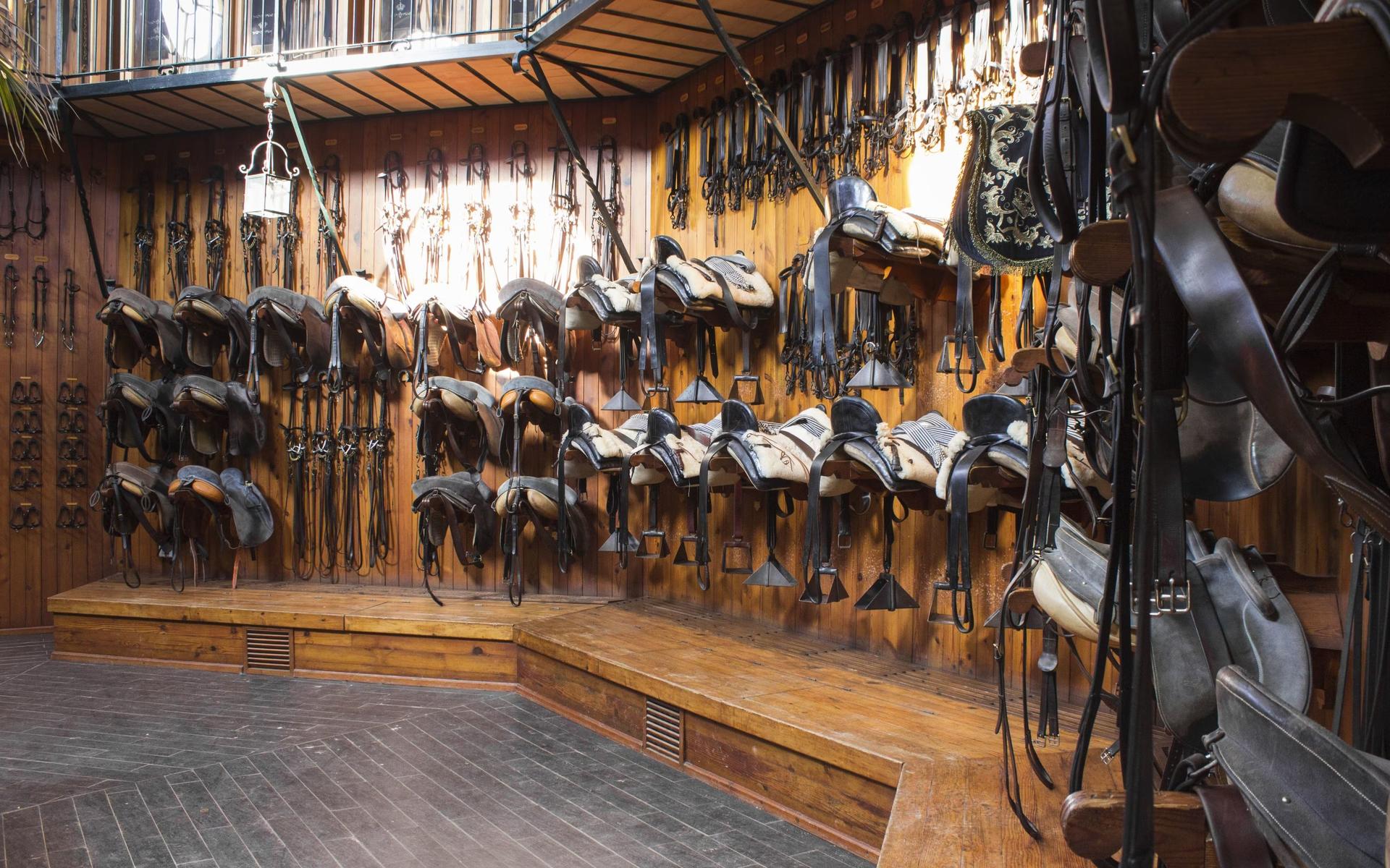 Royal Andalusian School of Equestrian Art full visit experience - Thumbnail 4