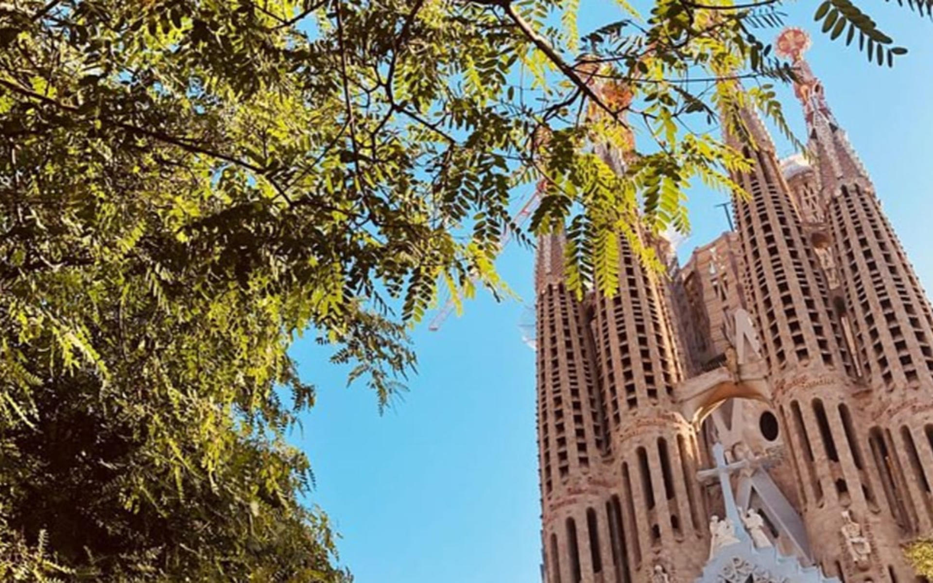 Sagrada Familia & Park Guell Small Group Tour with Tickets - Thumbnail 12