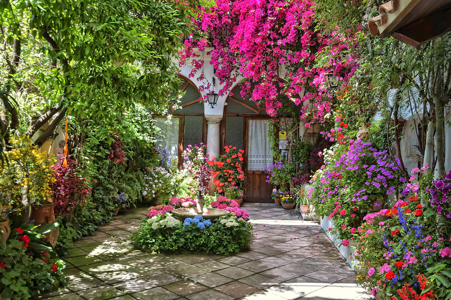 Popular Patios of Cordoba Guided Tour - Thumbnail 5