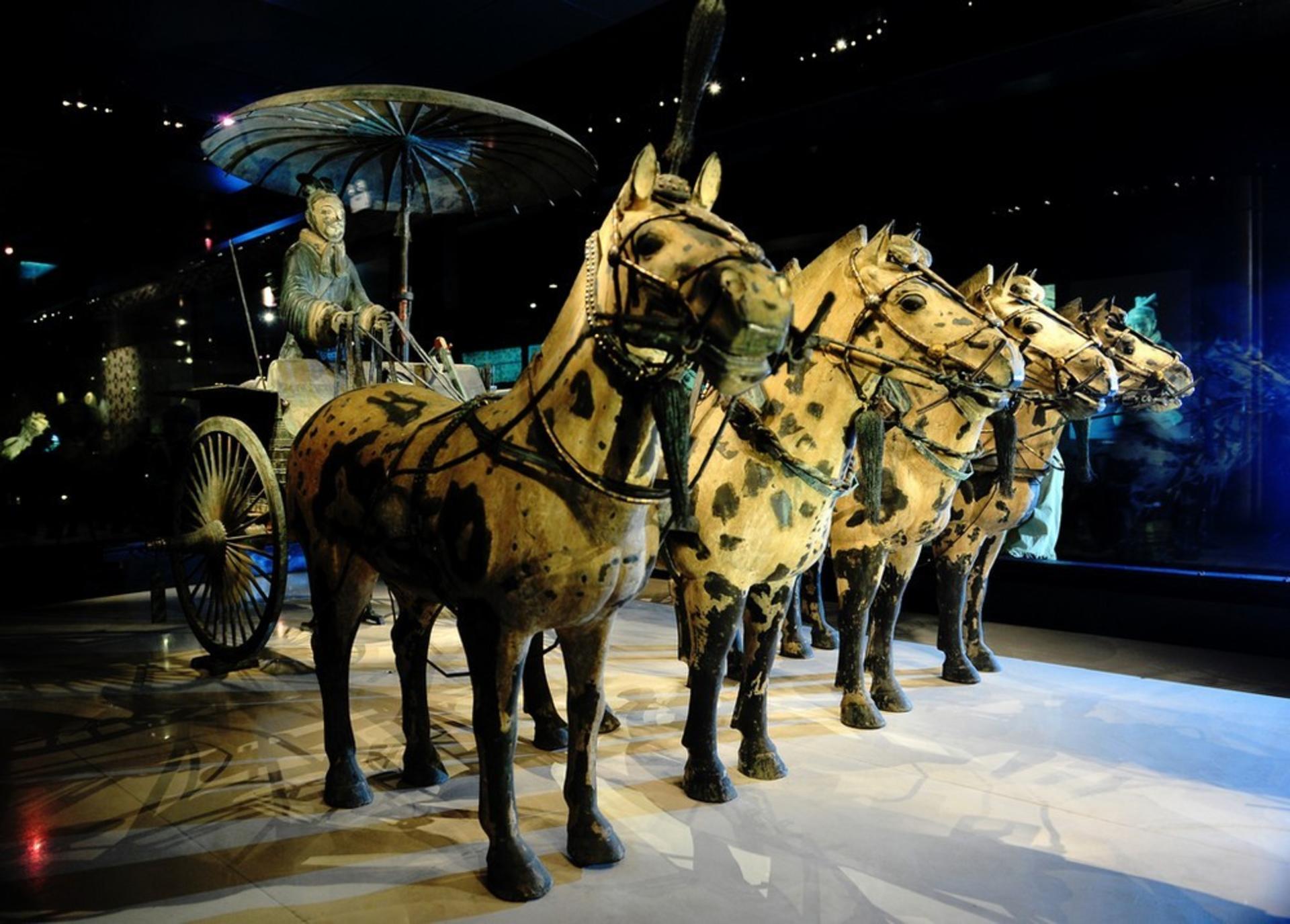 Xi'an Terracotta Warriors and Horses Museum Ticket - Thumbnail 5