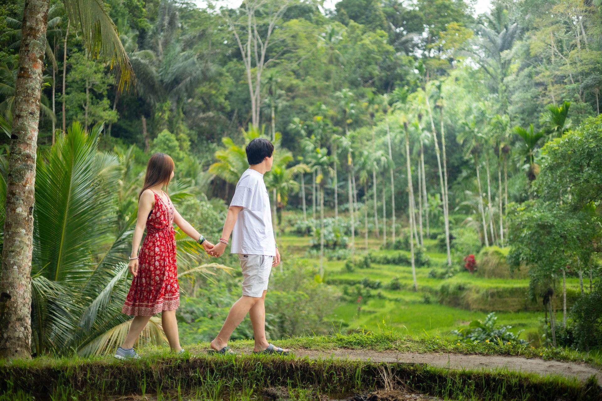 Bali Ubud Full-Day Private Tour with Monkey Forest & Rice Terrace - Thumbnail 23