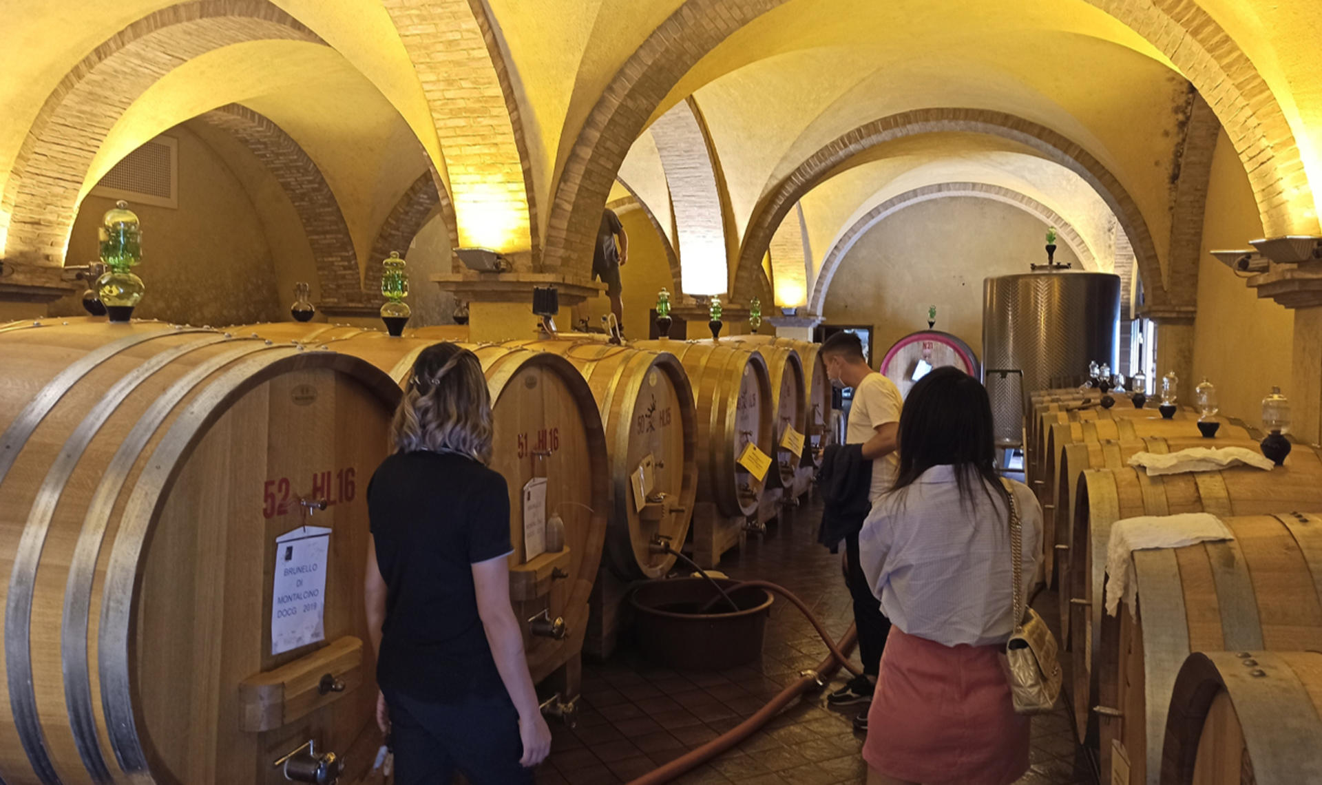 Val d'Orcia wine & cheese tasting experience from Florence - Thumbnail 4