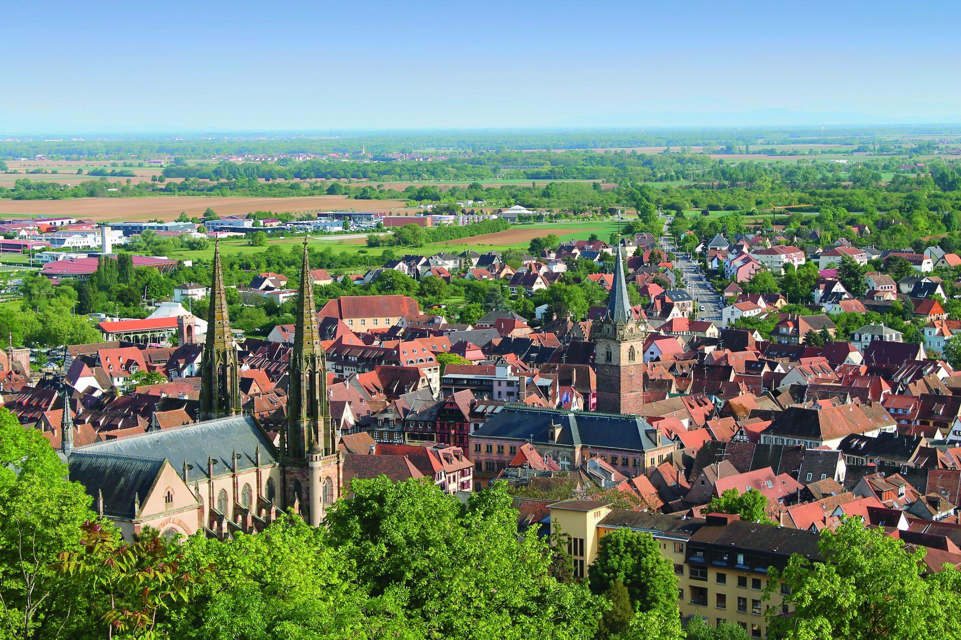 Alsace vineyard tour from Strasbourg - Image 1
