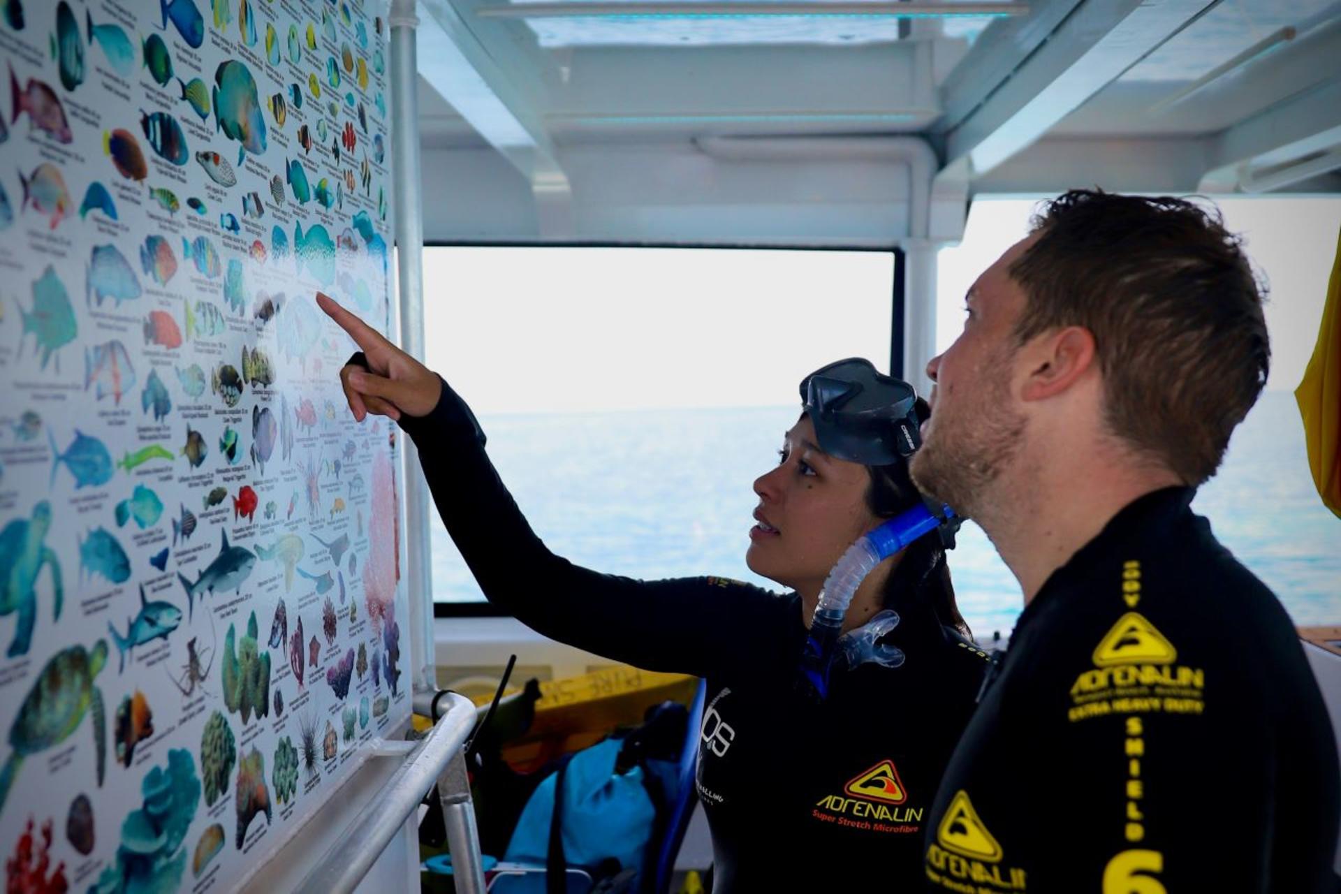 Pure Snorkelling Half Day Great Barrier Reef Tour - Thumbnail 4