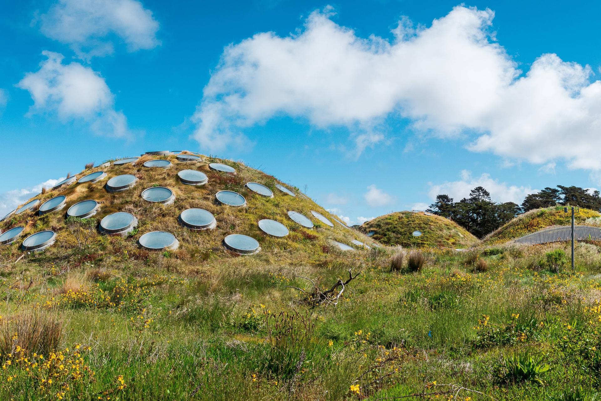California Academy of Sciences Ticket in San Francisco - Thumbnail 16