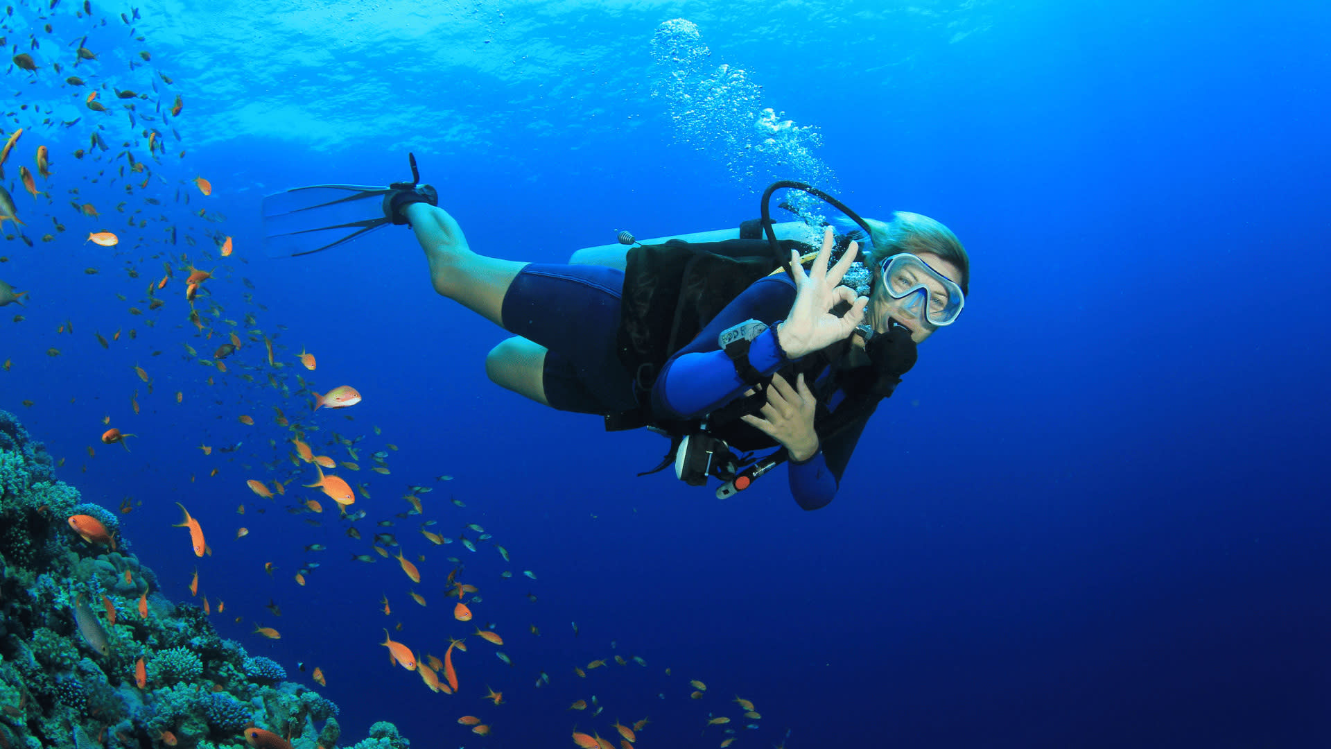 Kusadasi: Scuba Diving for Beginners w/Lunch & Transfer - Thumbnail 3