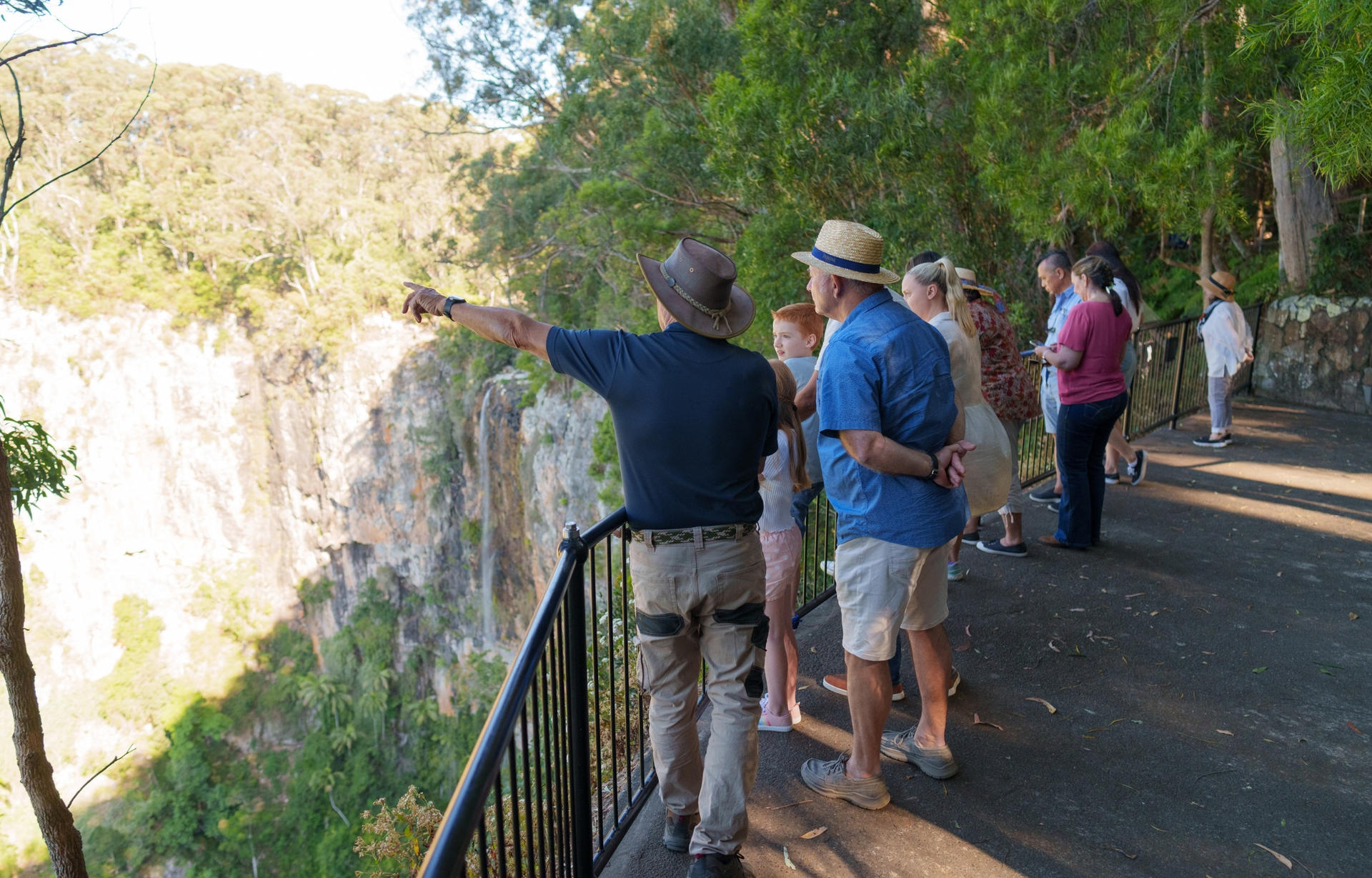 Natural Bridge and Springbrook Waterfalls Tour from Gold Coast - Thumbnail 8