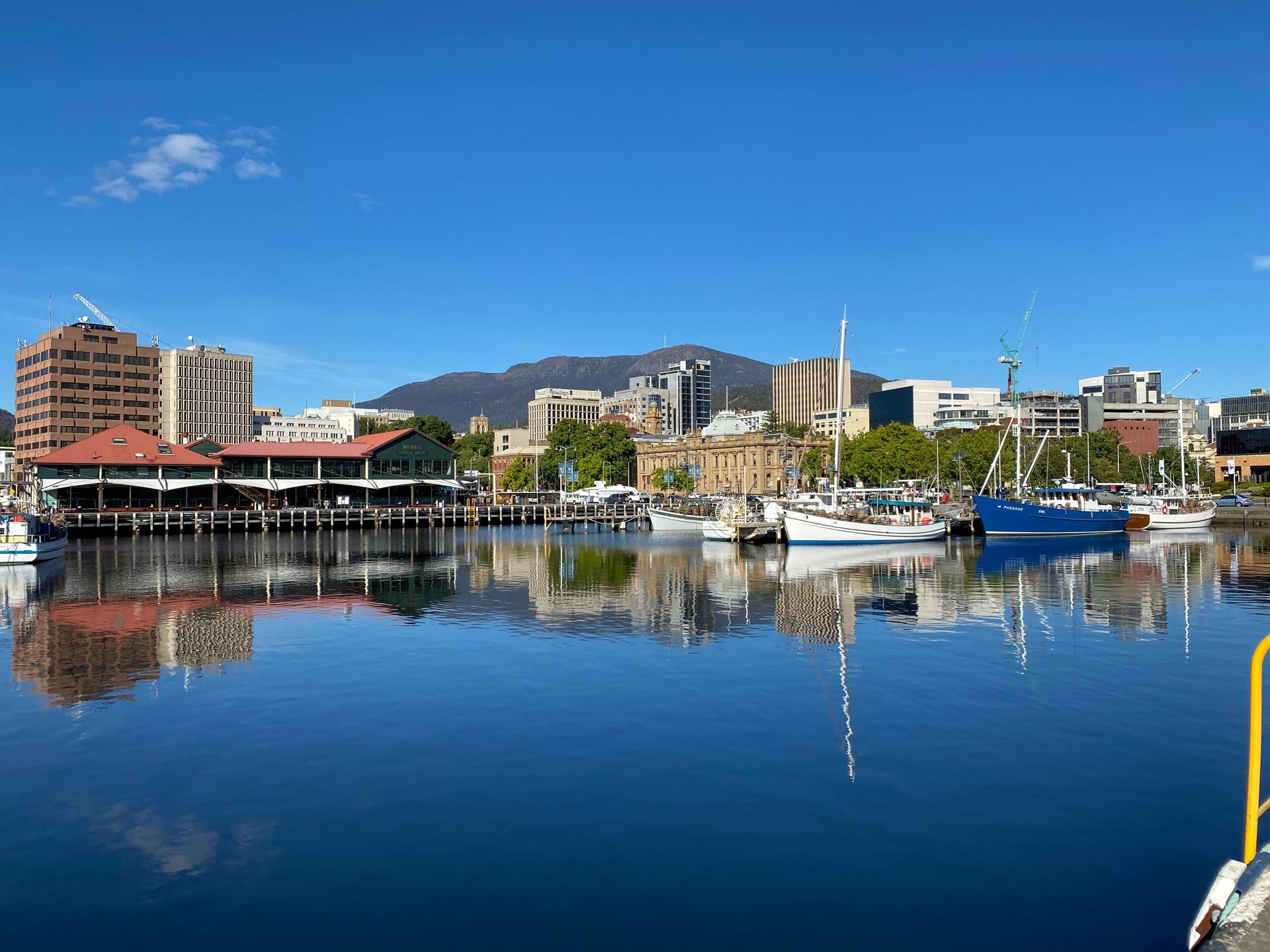 nipaluna (Hobart) Highlights Half Day Tour - Image 1