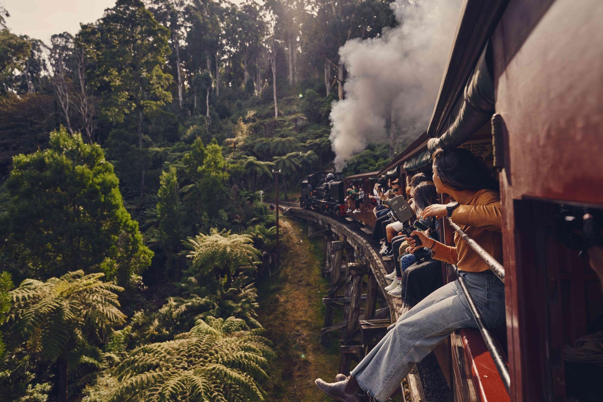 Puffing Billy, Phillip Island and Brighton Beach Tour - Thumbnail 5