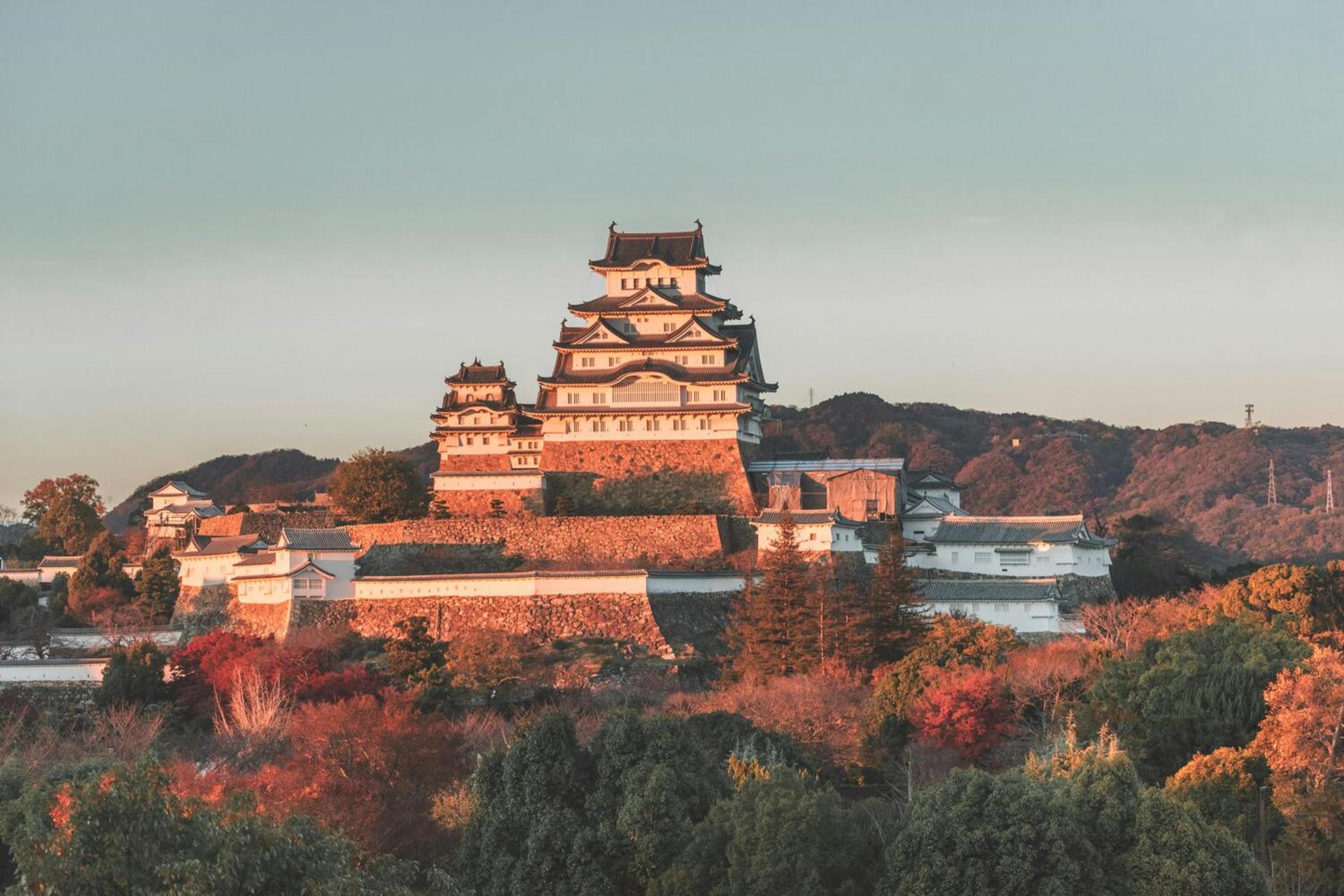 Discover Himeji, Kobe and Nara from Osaka - Thumbnail 14