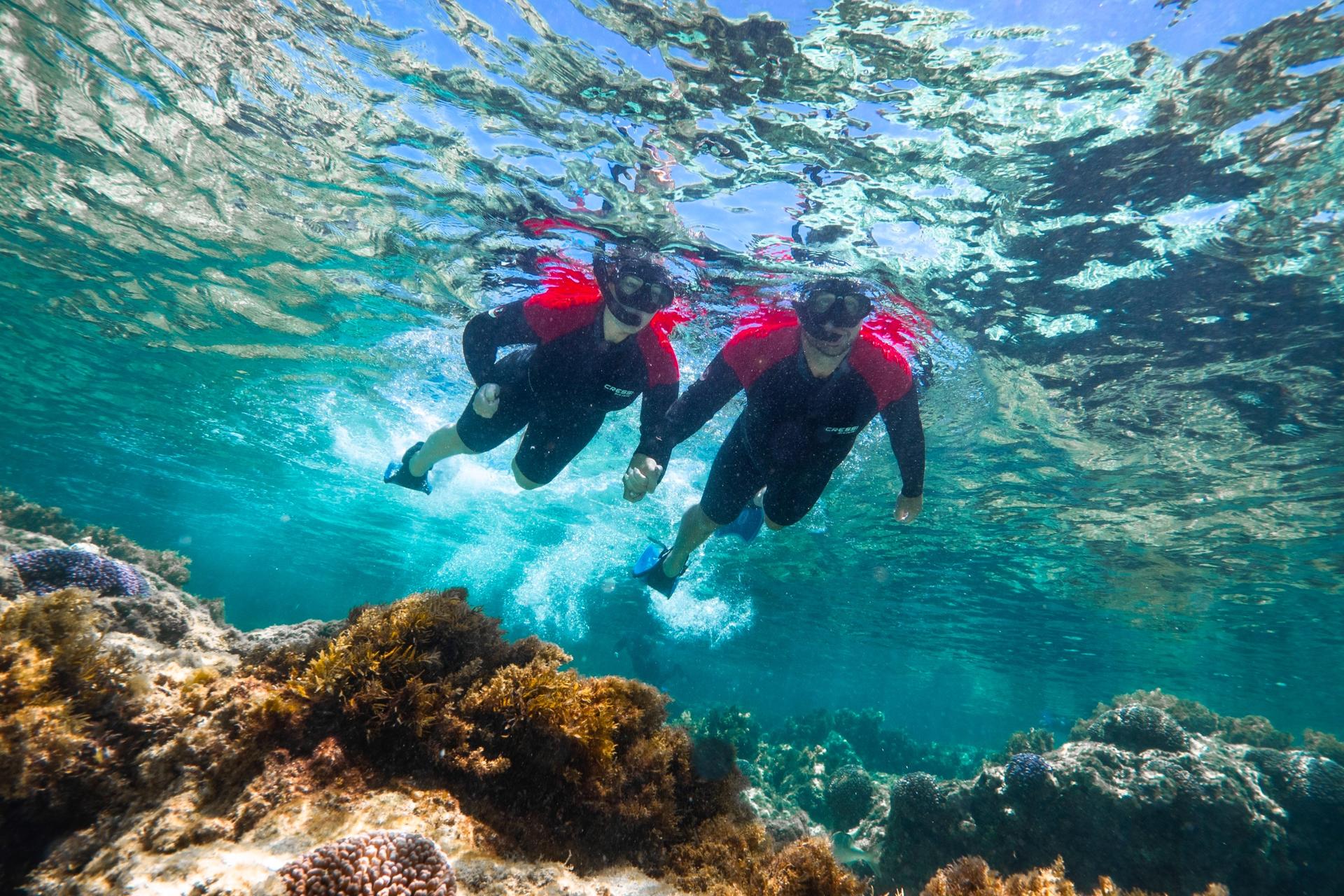 Rottnest Island Guided Snorkelling Tour - Image 1