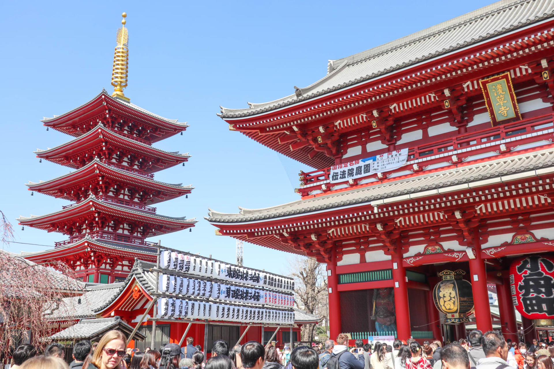 Asakusa Culture & Matcha Making Walking Tour with Lunch - Thumbnail 5