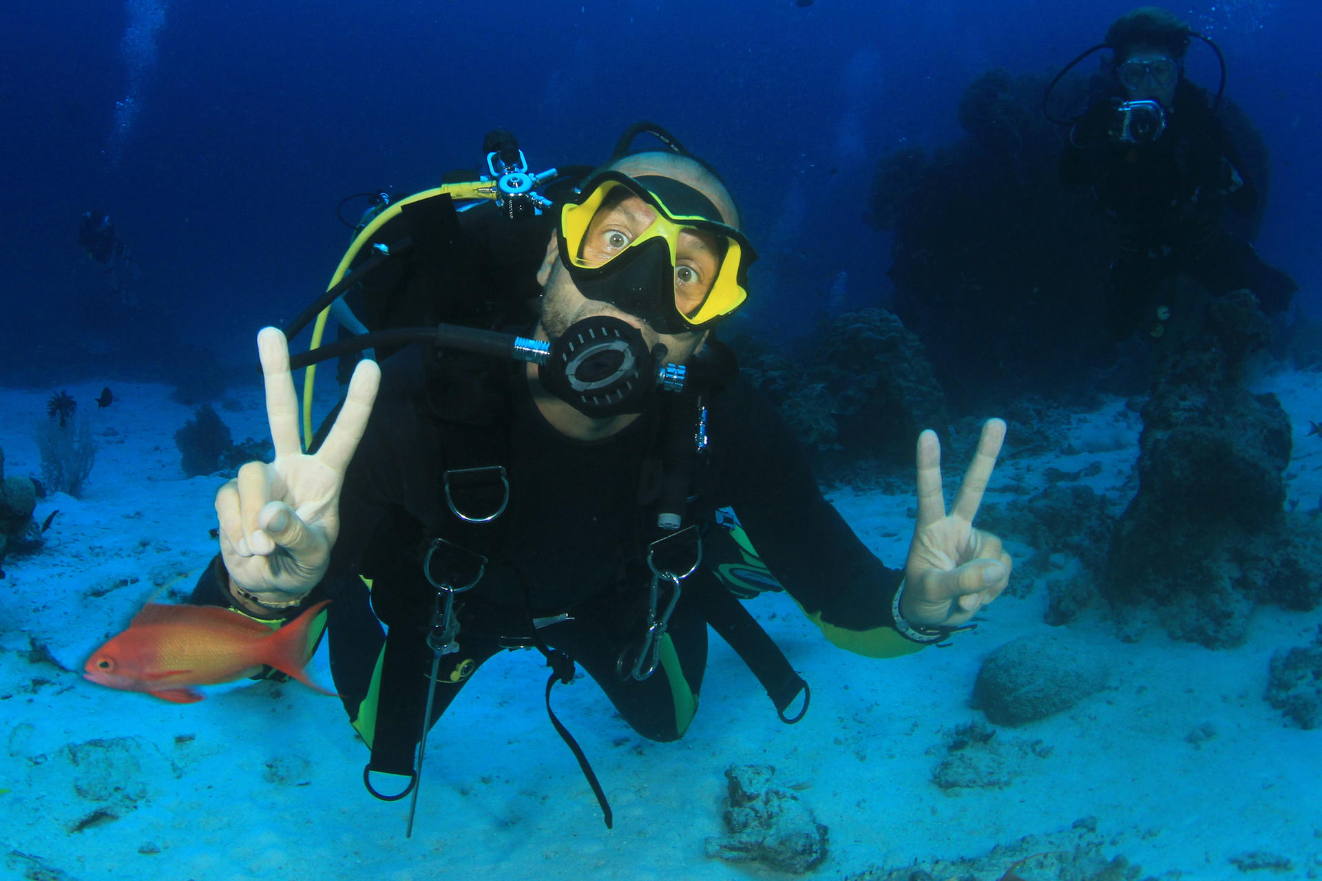 Scuba Diving Experience in Komodo National Park with Maika Diving - Thumbnail 8