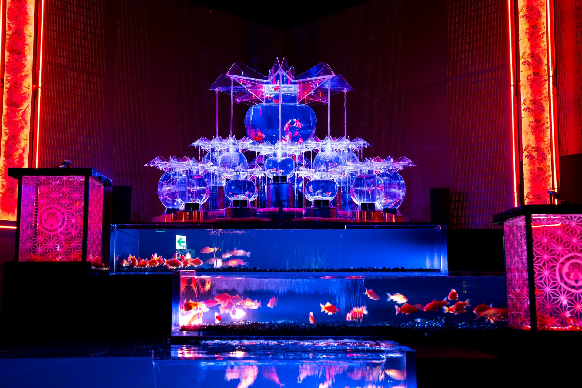 Art Aquarium Exhibition in Nagoya - Image 1