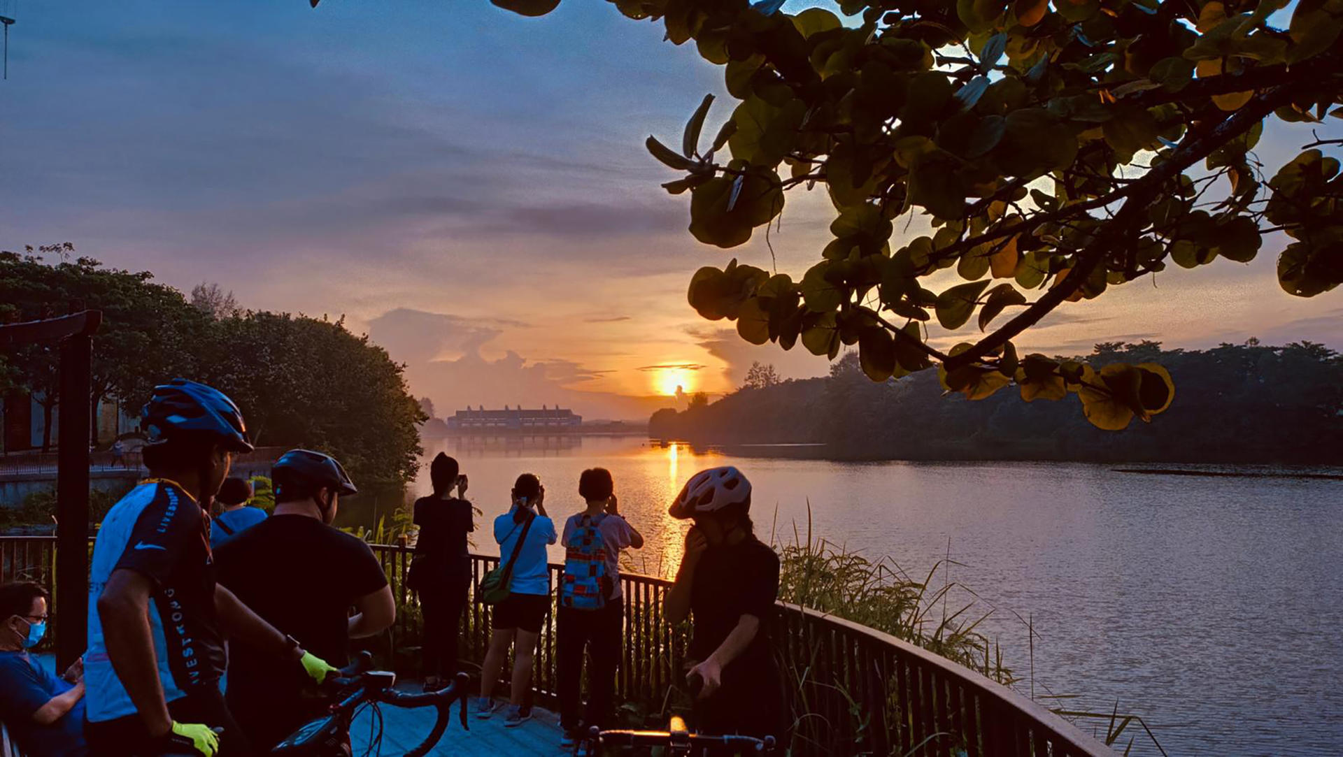 Singapore Sunrise Cycling Tour (Hidden Nature + Local Breakfast) - Image 1