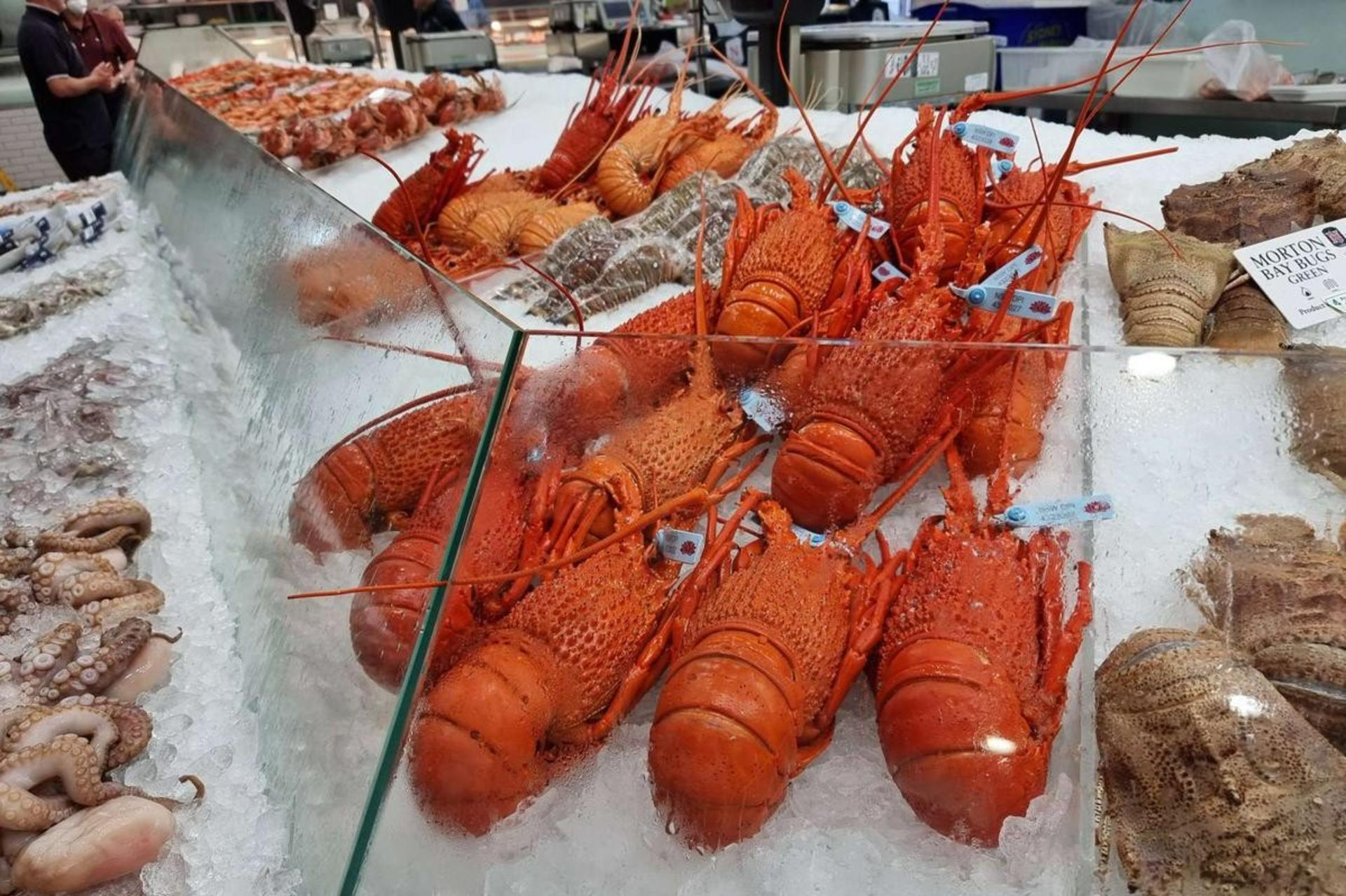 Sydney to Hunter Valley: A Chef-Led Food and Wine Experience - Thumbnail 19