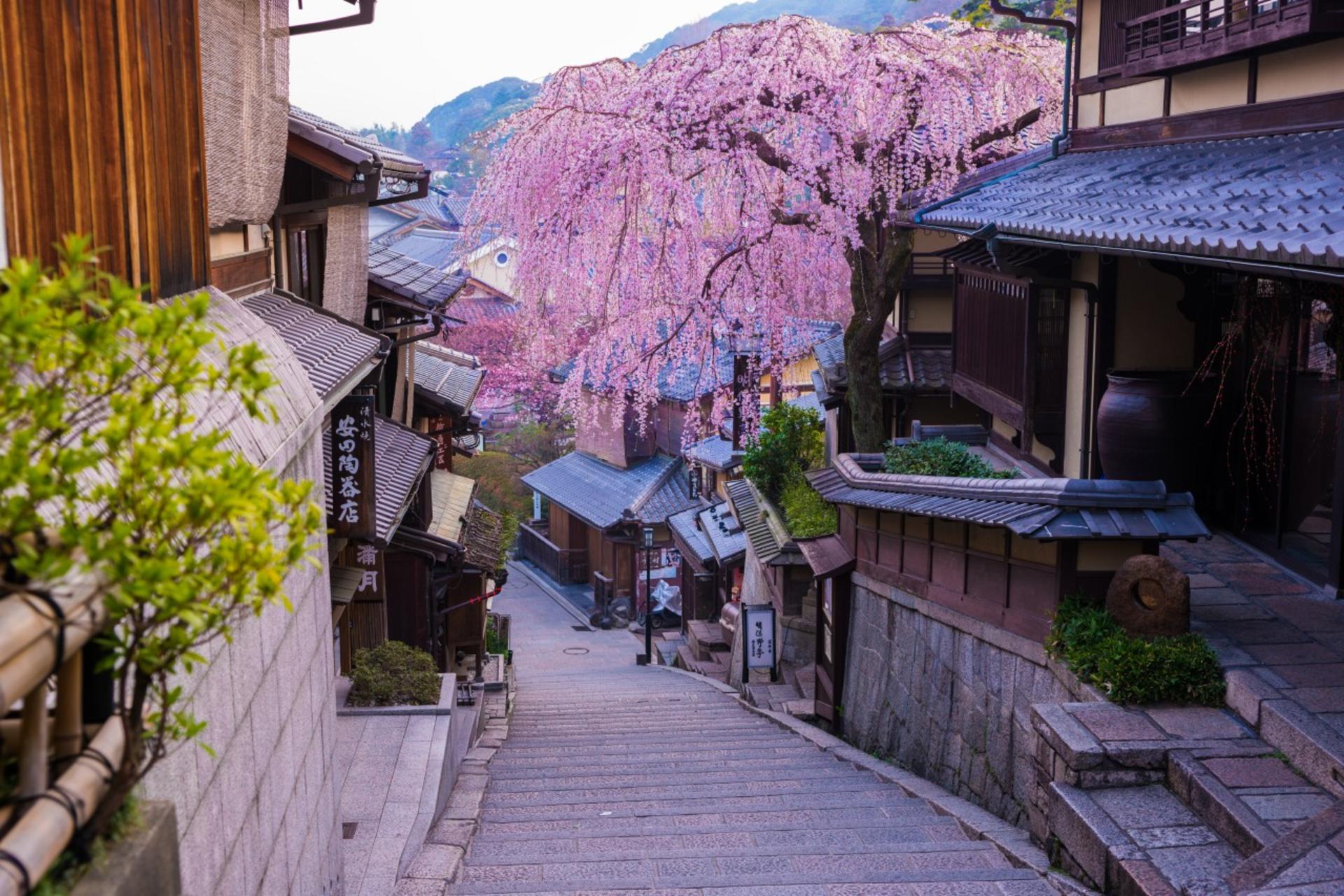 Kyoto & Uji World Heritage One-Day Tour: Kinkaku-ji Temple & Kiyomizu-dera Temple & Byodo-in Temple & Uji Matcha Food Street (Departing from Osaka or Kyoto) - Thumbnail 12