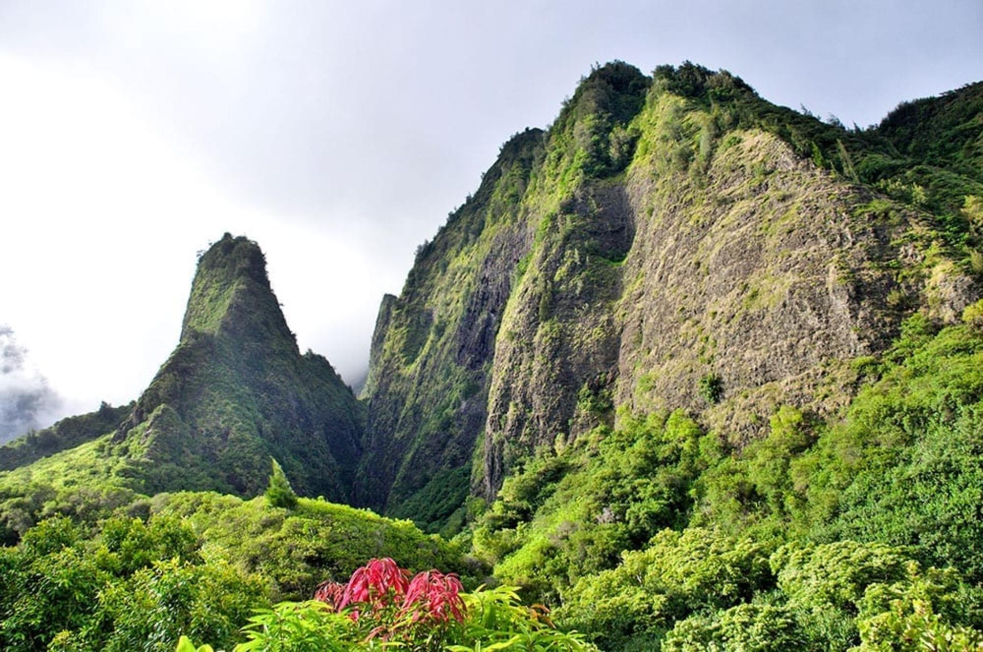 Best of Maui: Sips, Sites & Bites - Thumbnail 2