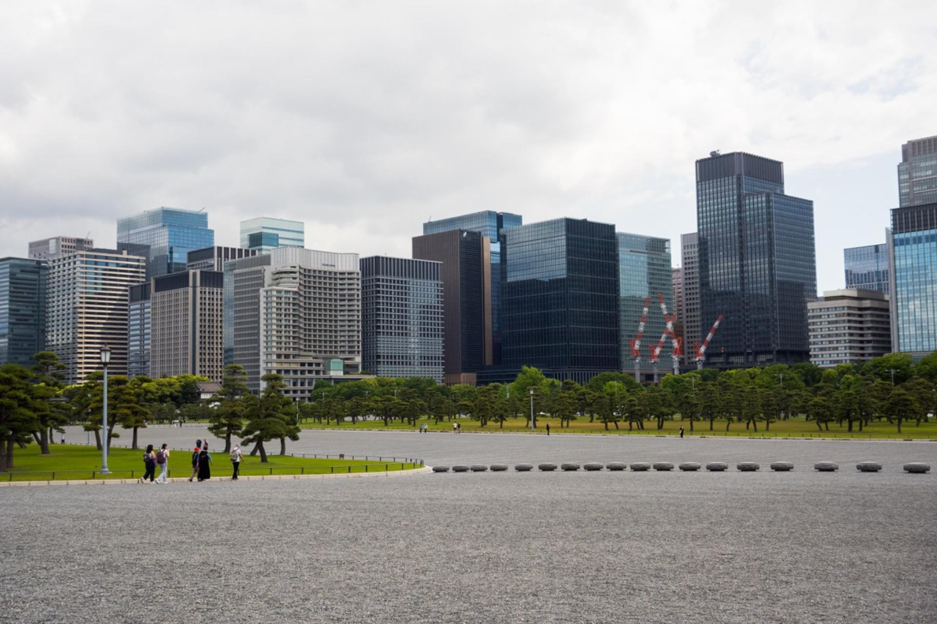 Tokyo: Imperial Palace & Shogun Castle Walking Tour - Thumbnail 32